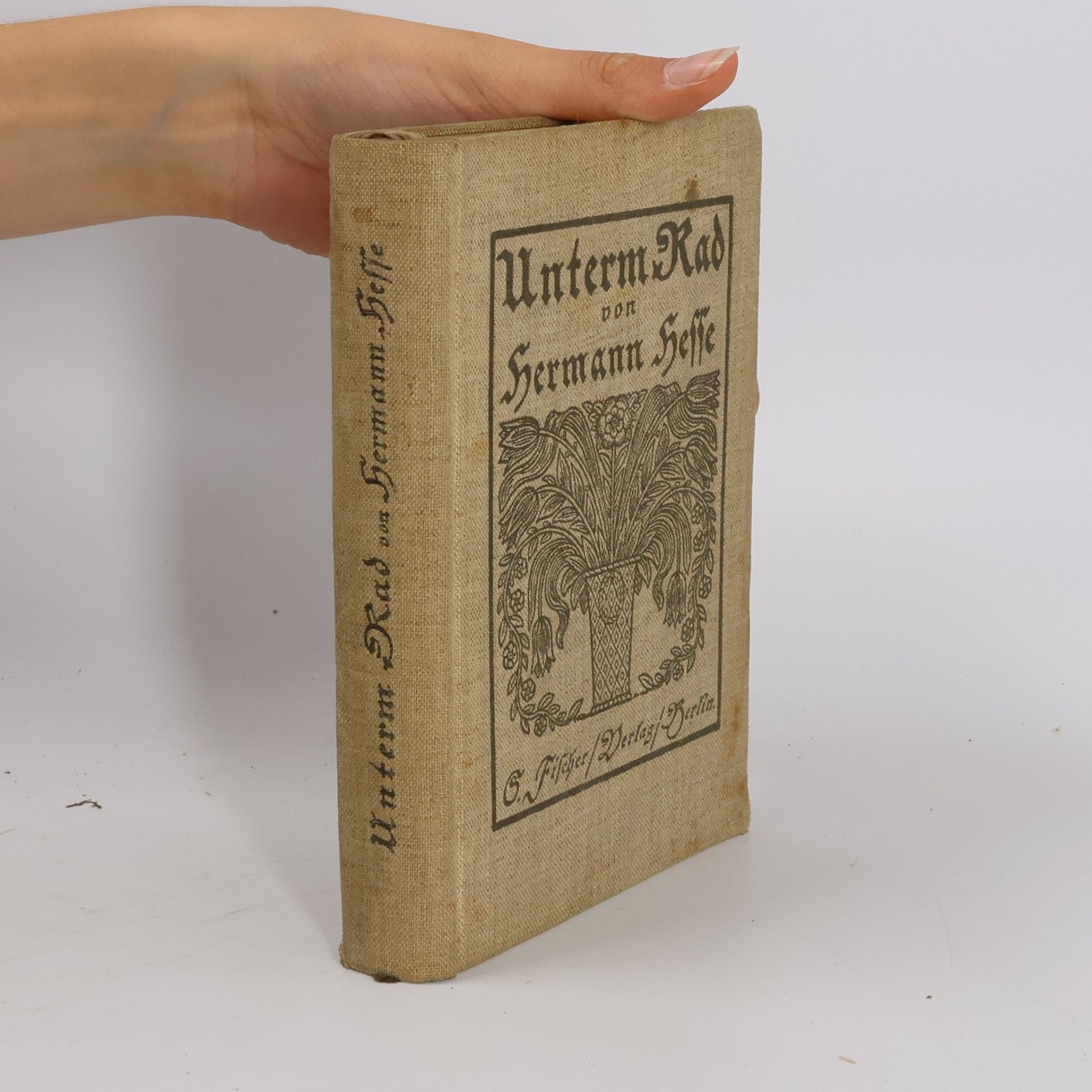 Hermann Hesse Unterm Rad