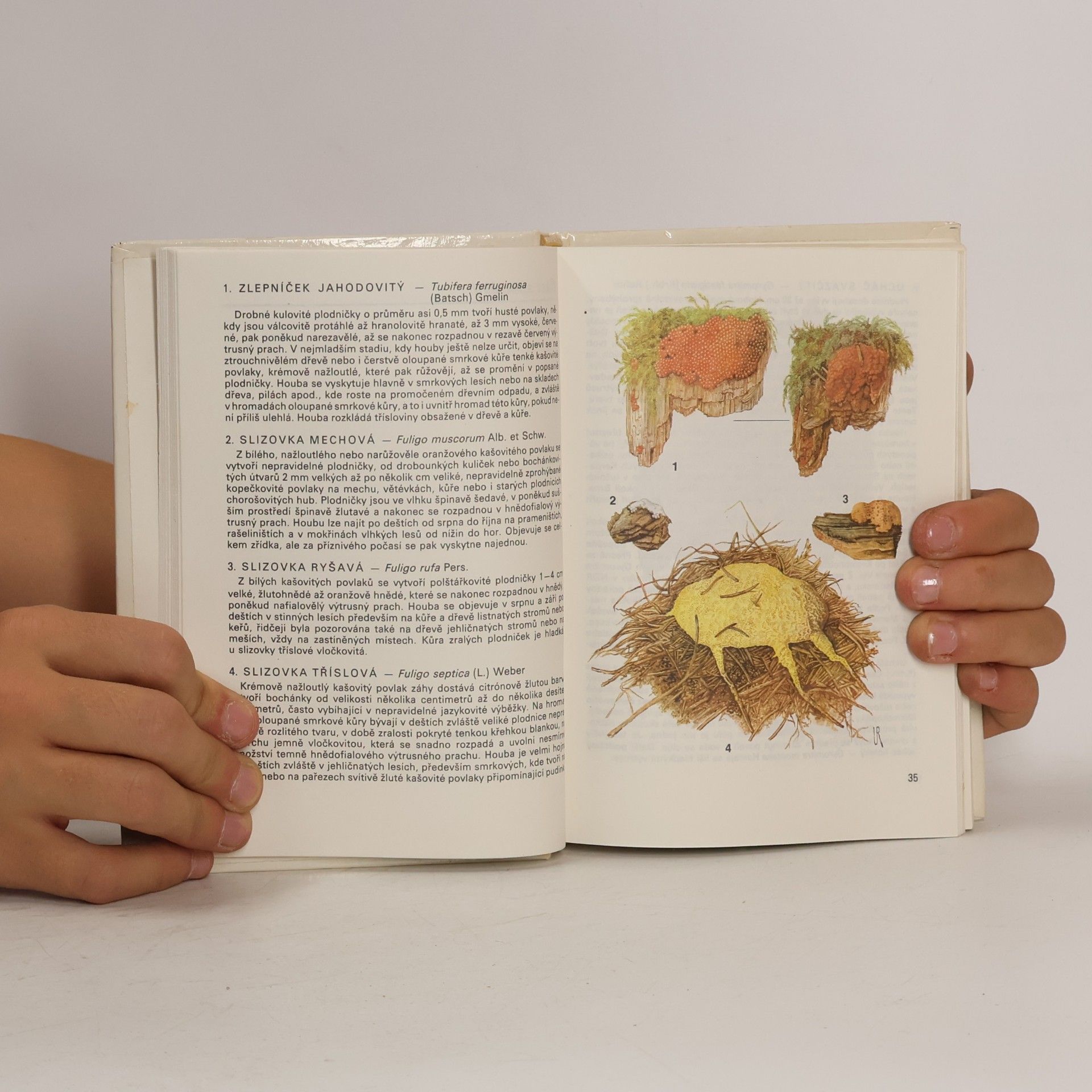 Antonín Příhoda Kapesní atlas hub 2