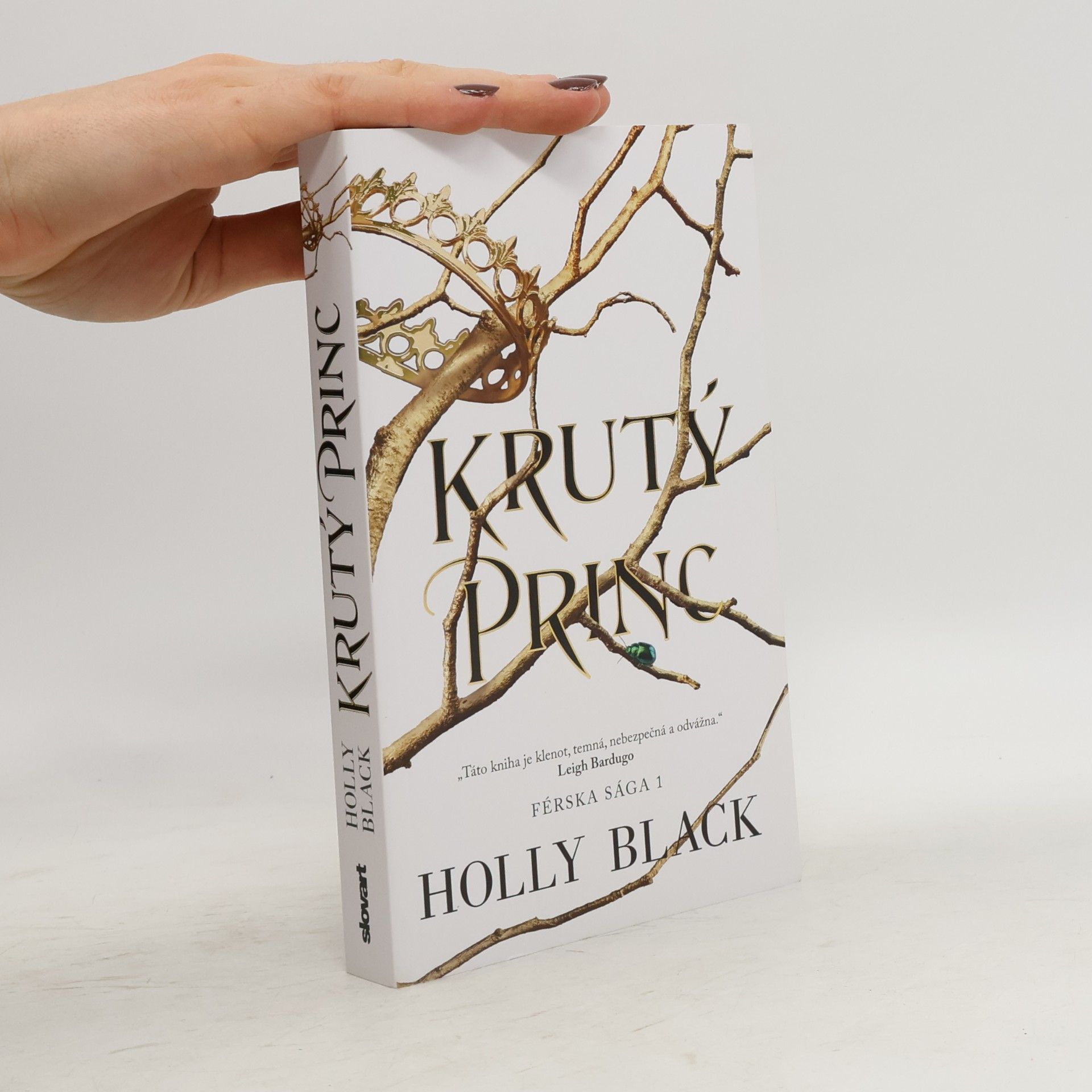 Holly Black Krutý princ