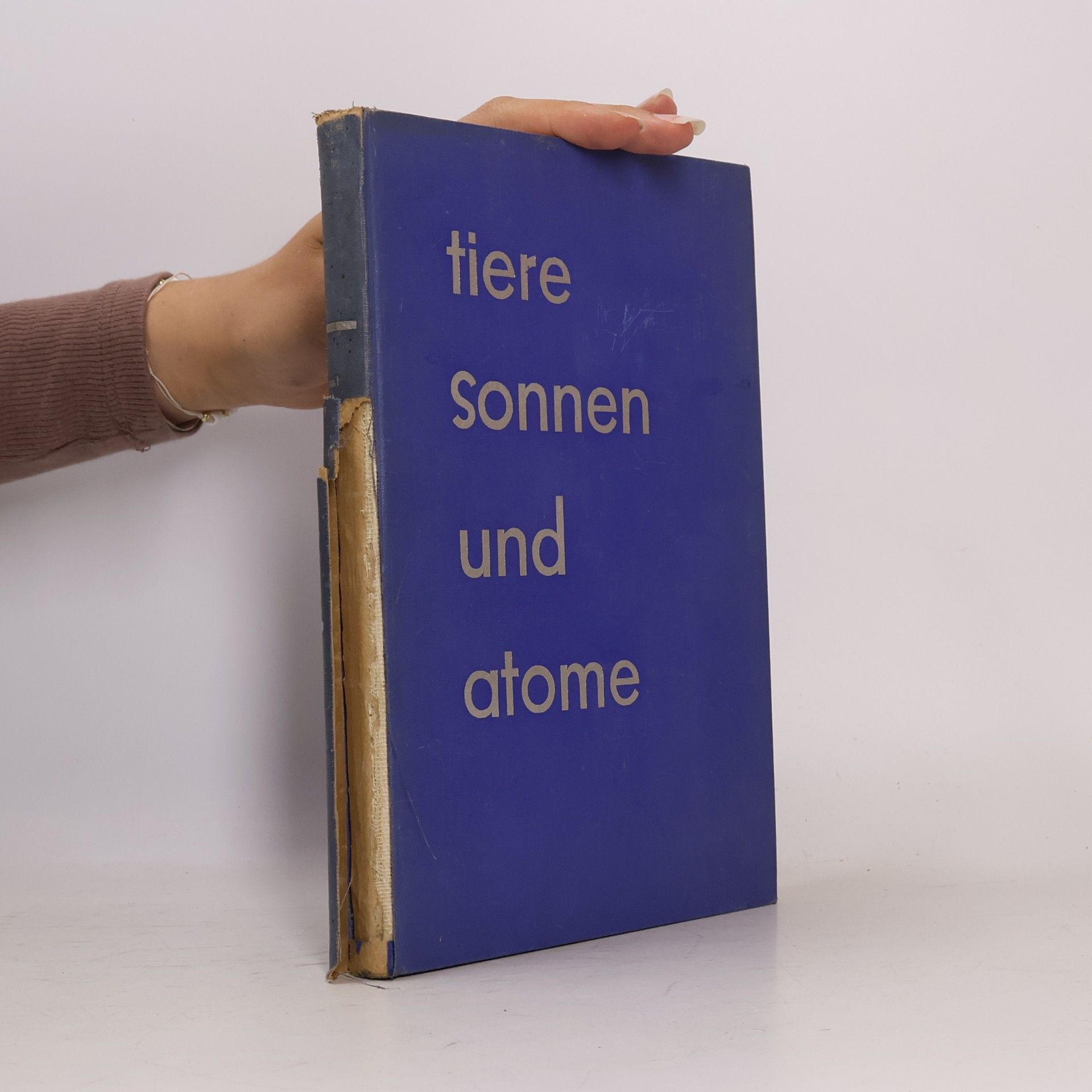 Curt Biging Tiere Sonnen und Atome