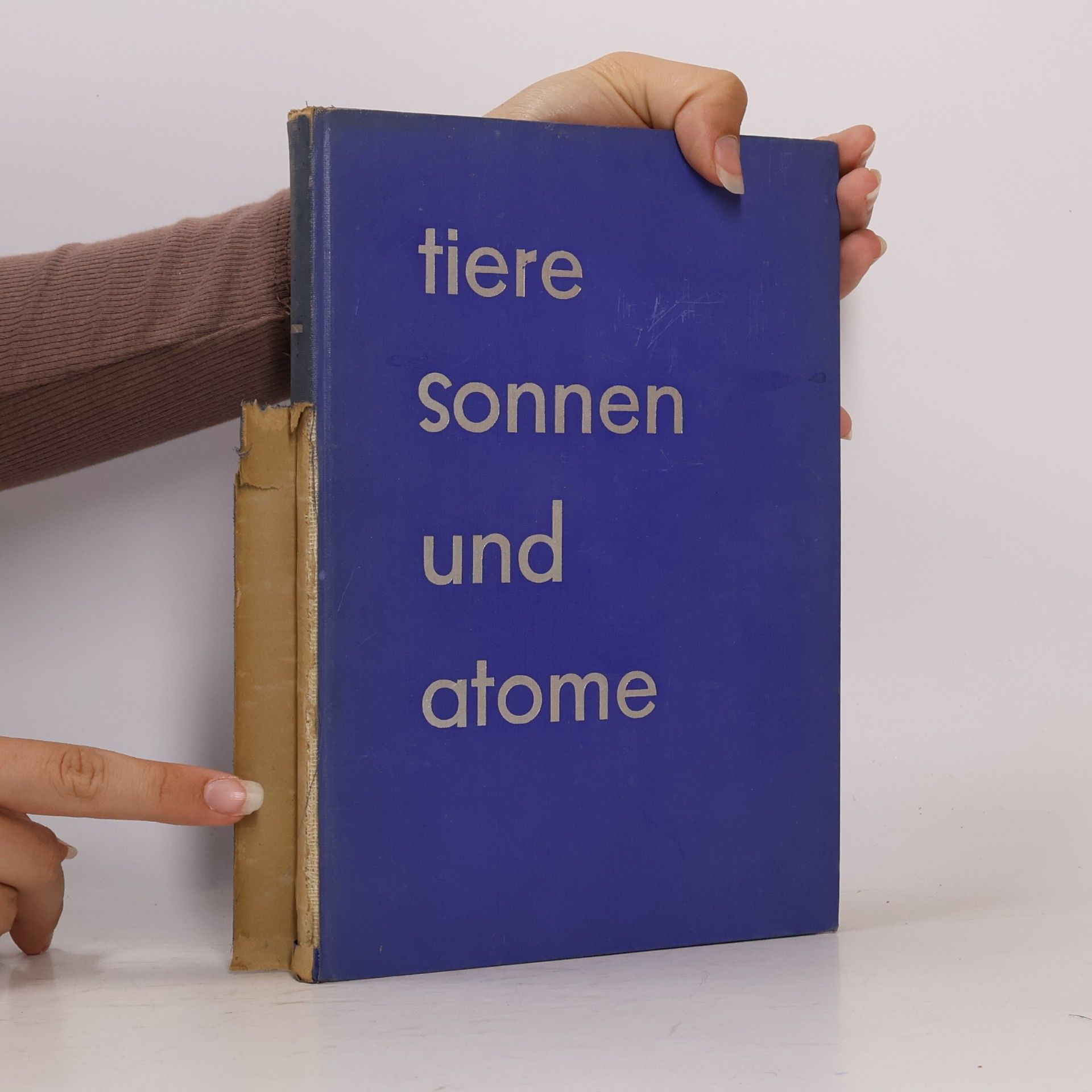 Curt Biging Tiere Sonnen und Atome