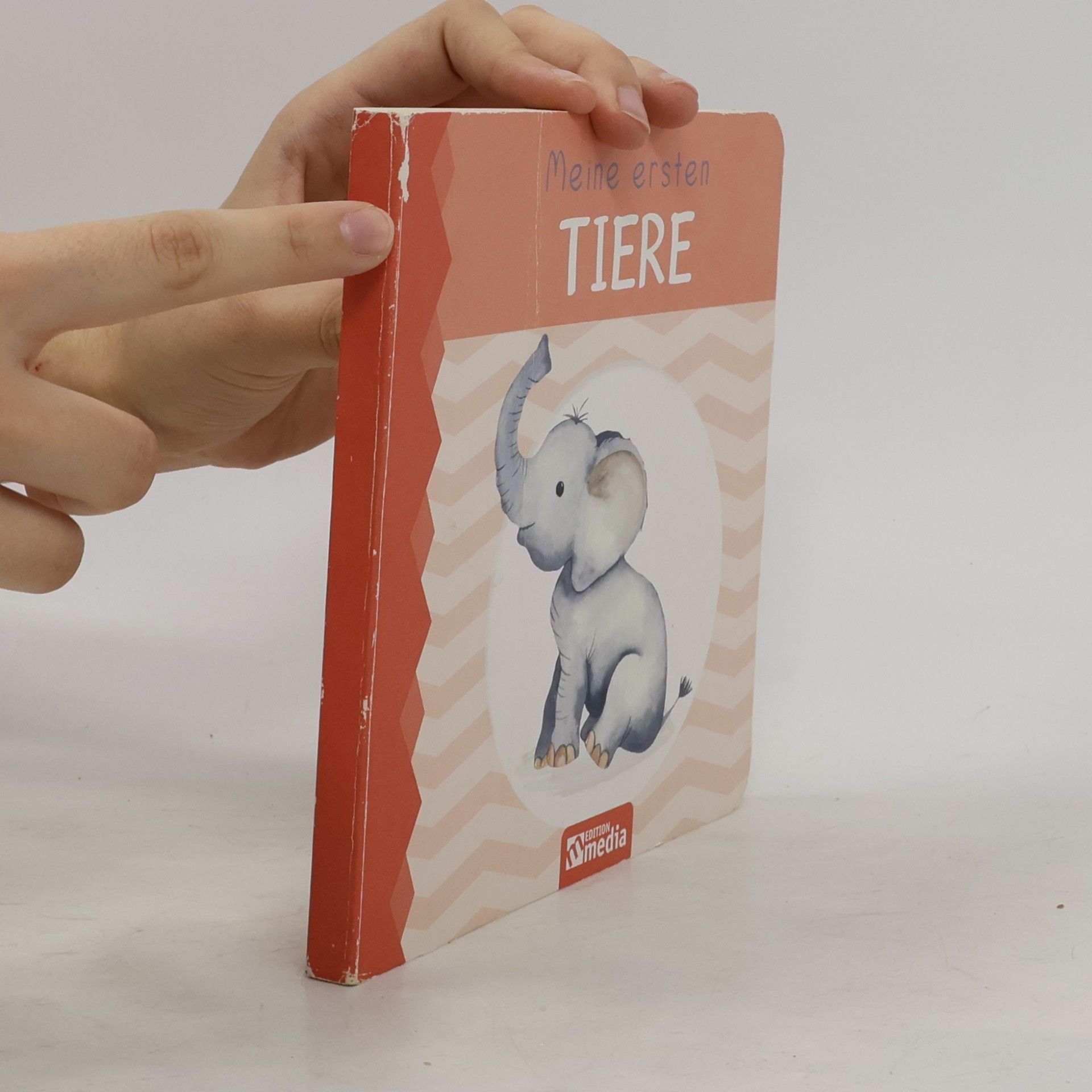 Various authors Meine ersten Tiere