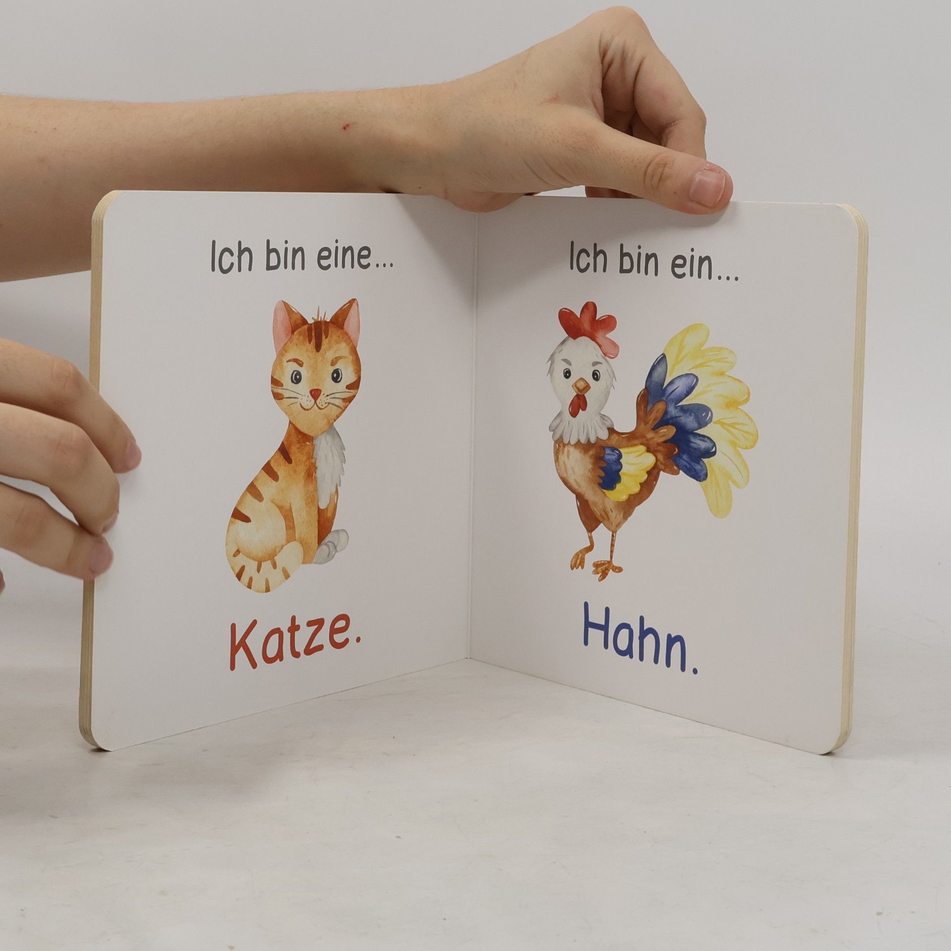 Various authors Meine ersten Tiere