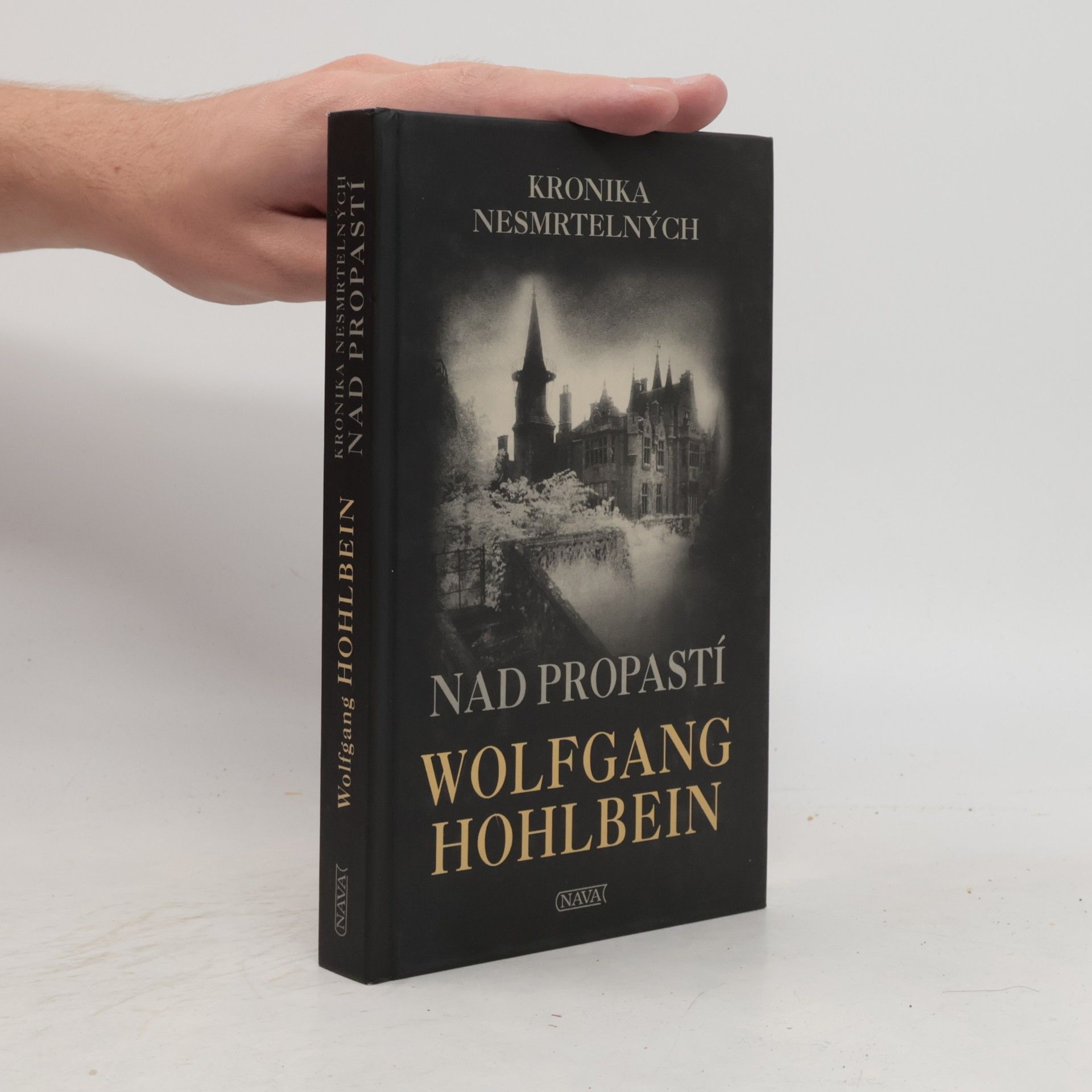 Wolfgang Hohlbein Kronika nesmrtelných. Nad propastí