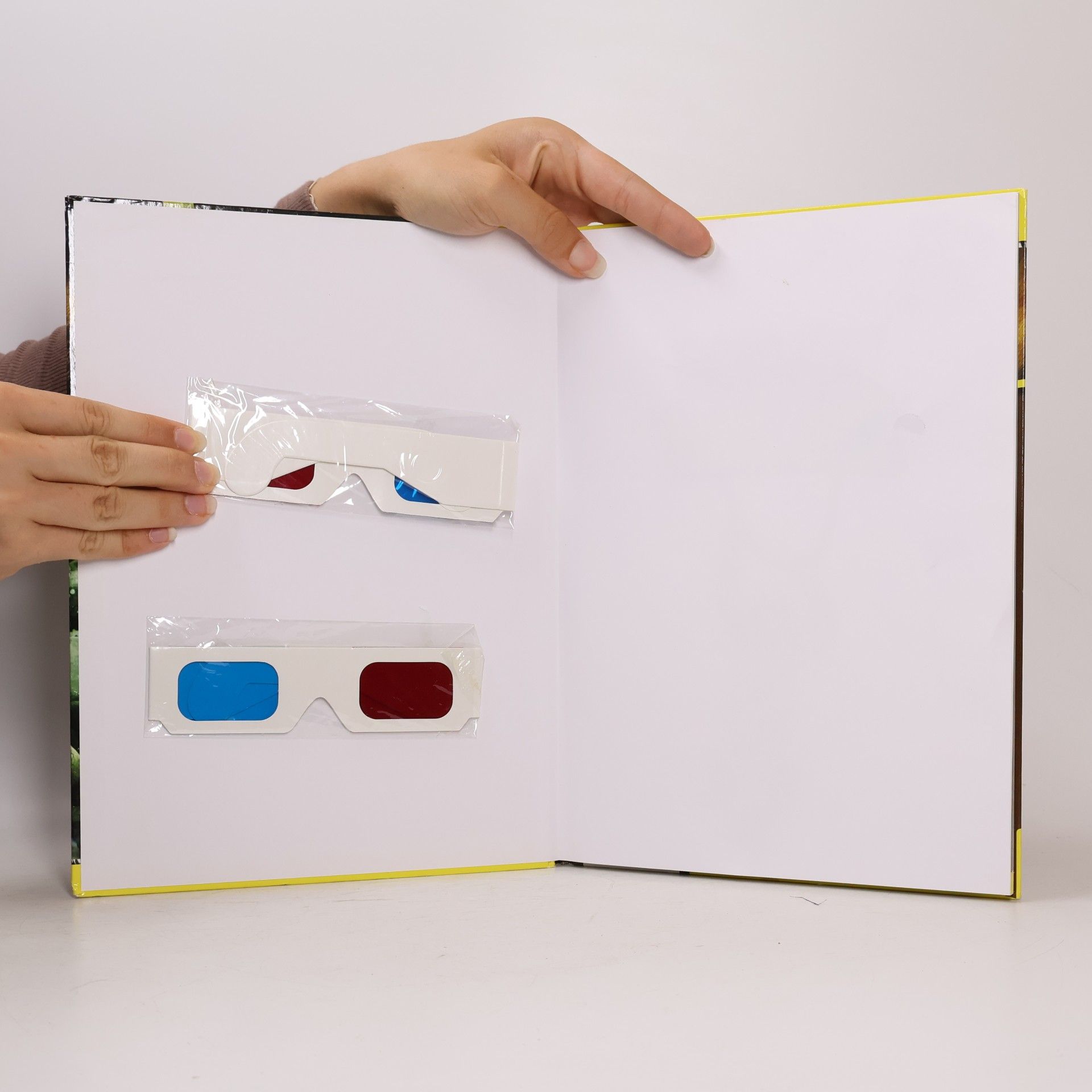Auteurscollectief Wilde Tiere 3D