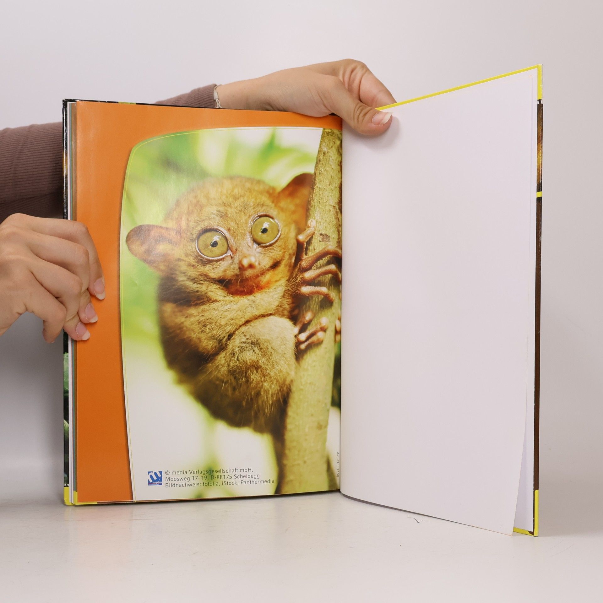 Auteurscollectief Wilde Tiere 3D