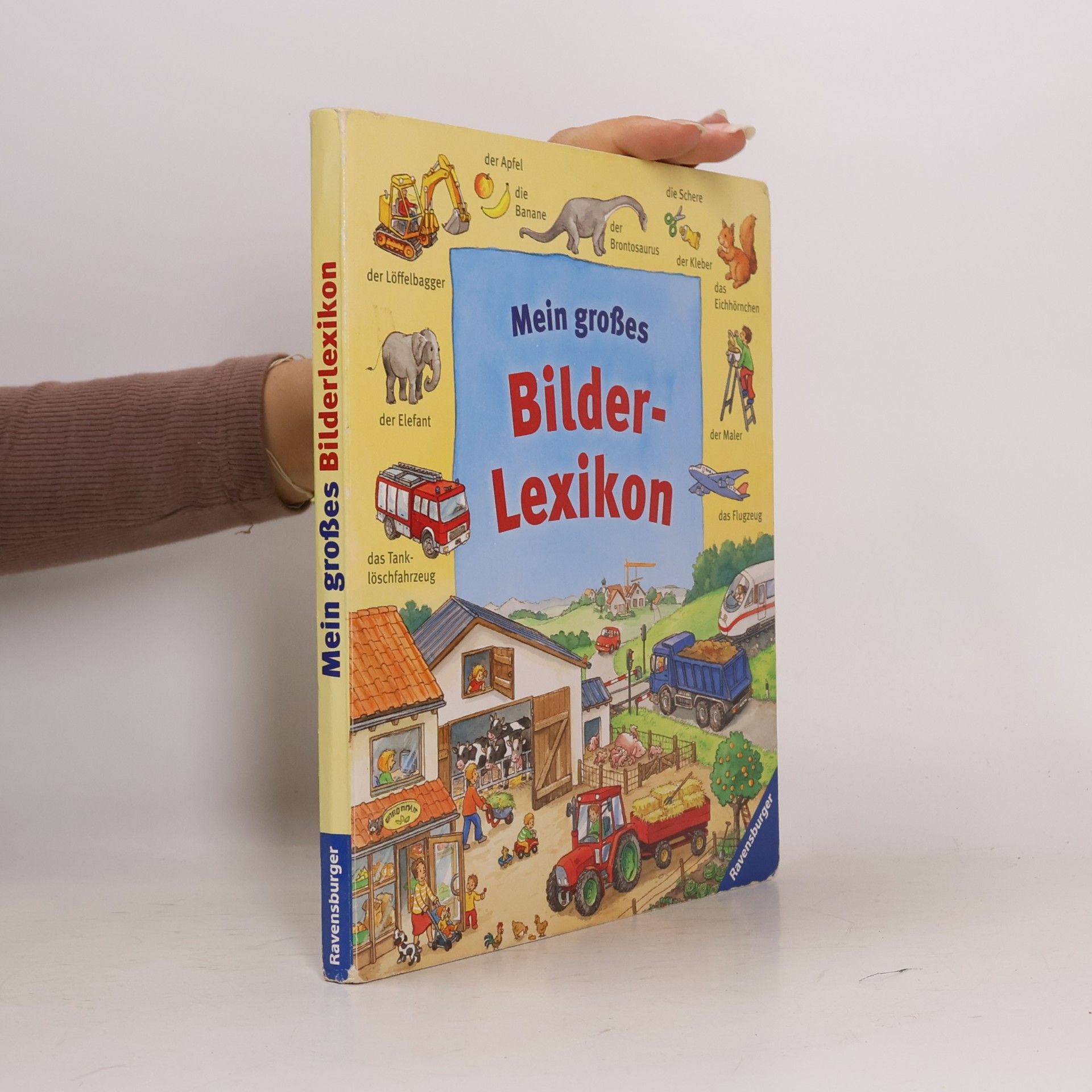 Autorenkollektiv Mein großes Bilderlexikon