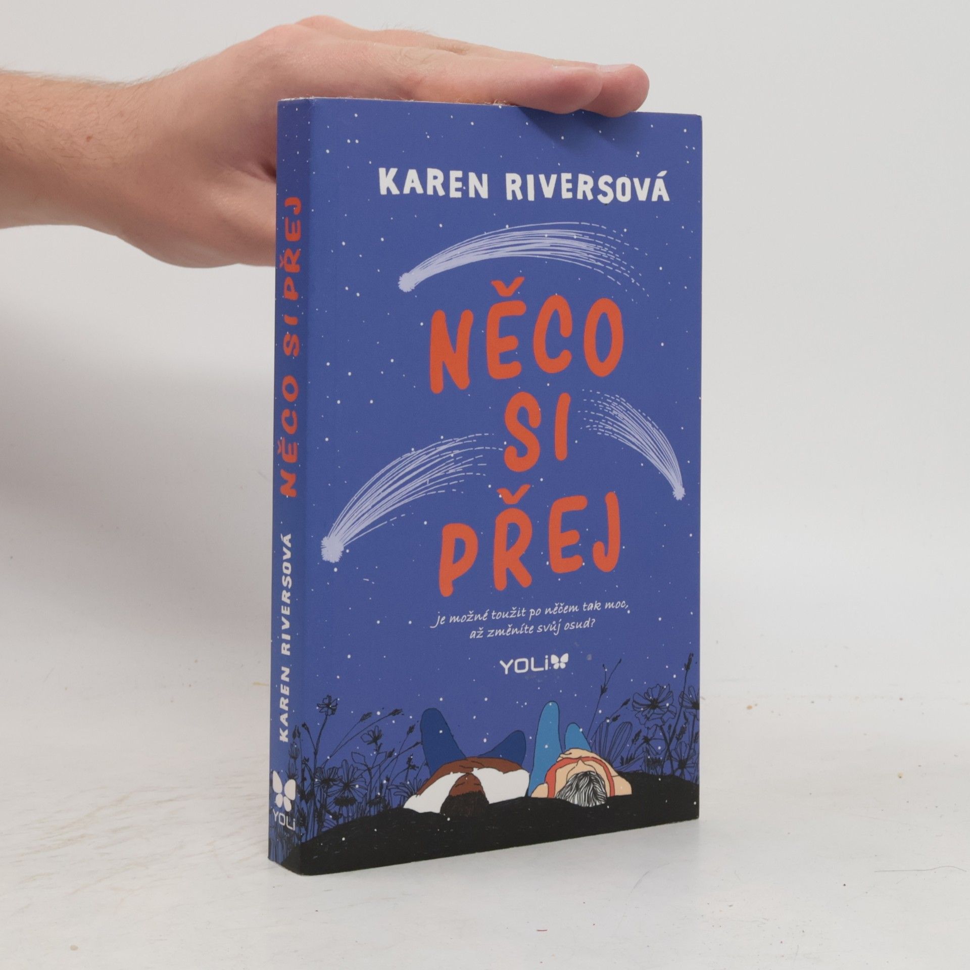 Karen Rivers Něco si přej