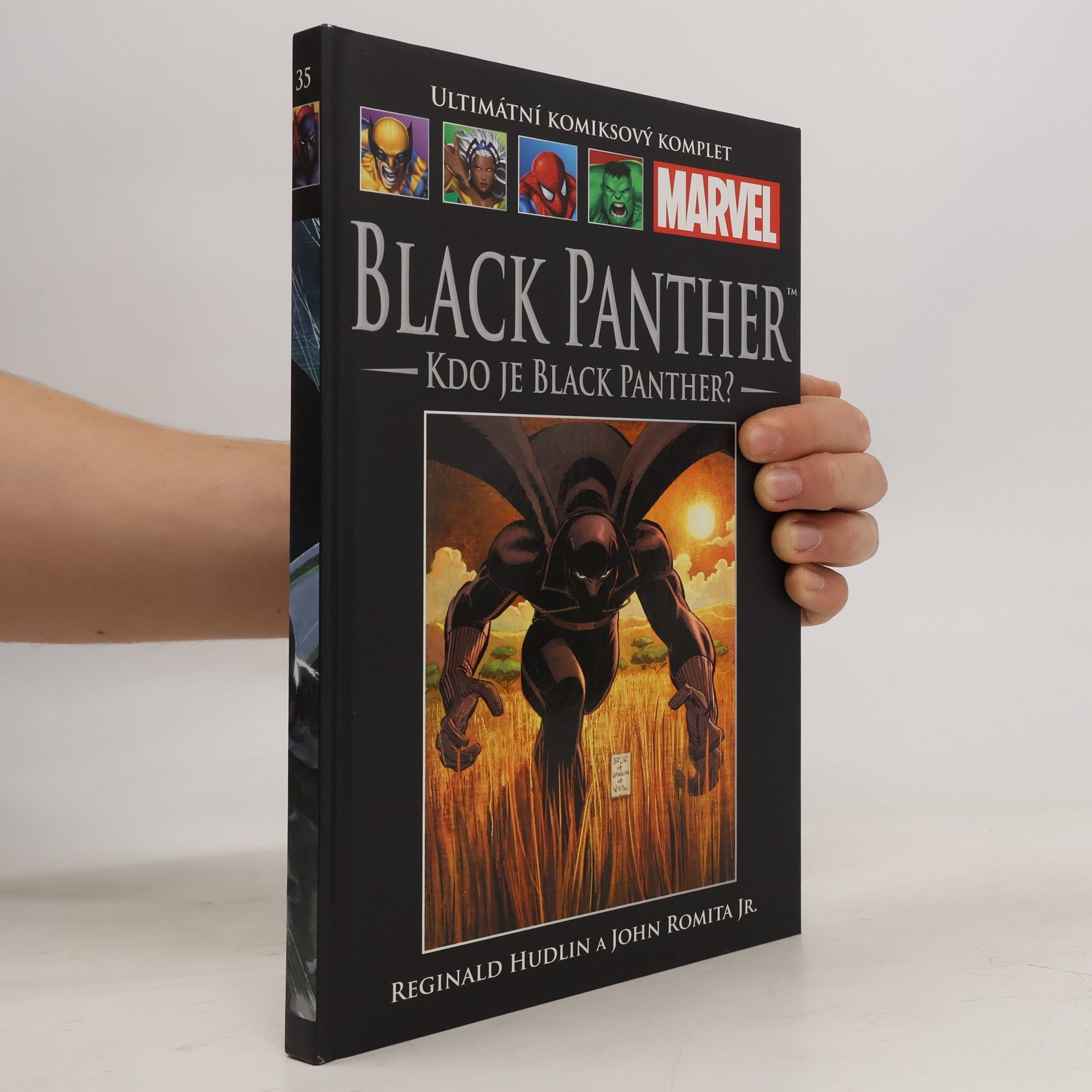 Reginald Hudlin Black Panther. Kdo je Black Panther?