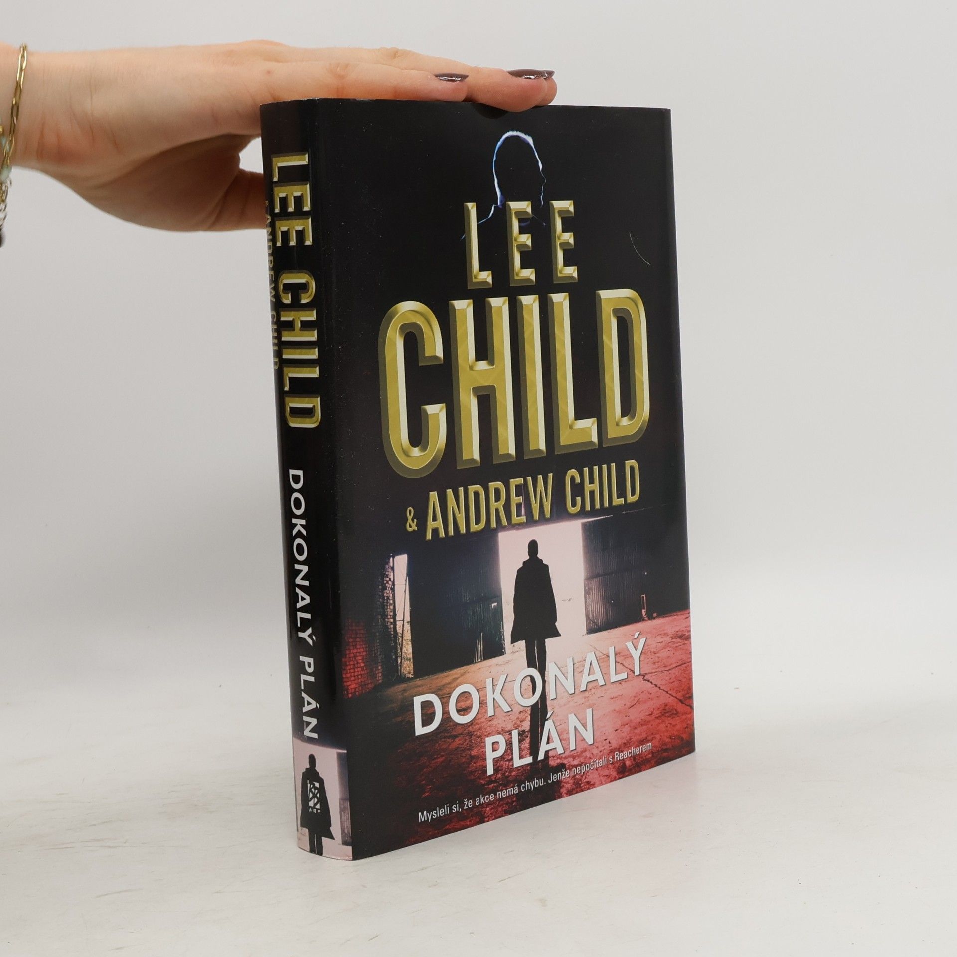Lee Child Dokonalý plán