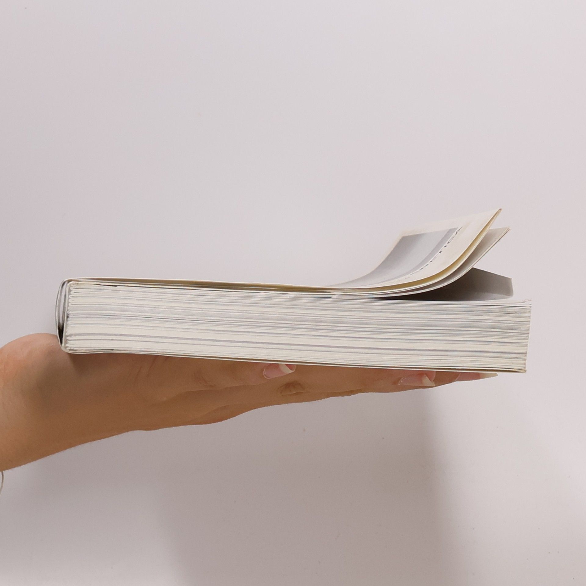 Paparoni Demetrio Skira paperbacks: Eretica
