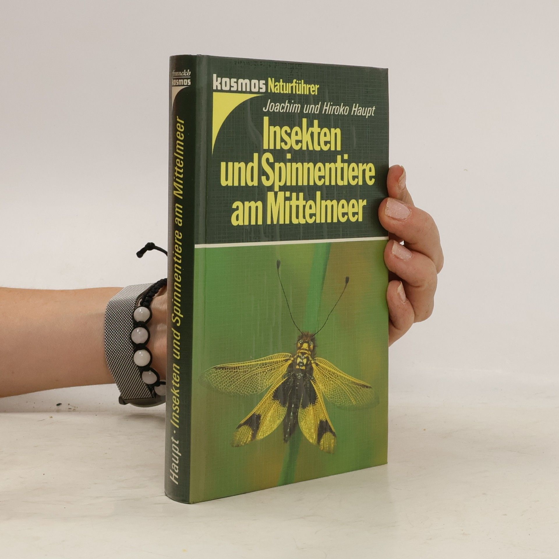 Joachim Haupt Insekten und Spinnentiere am Mittelmeer