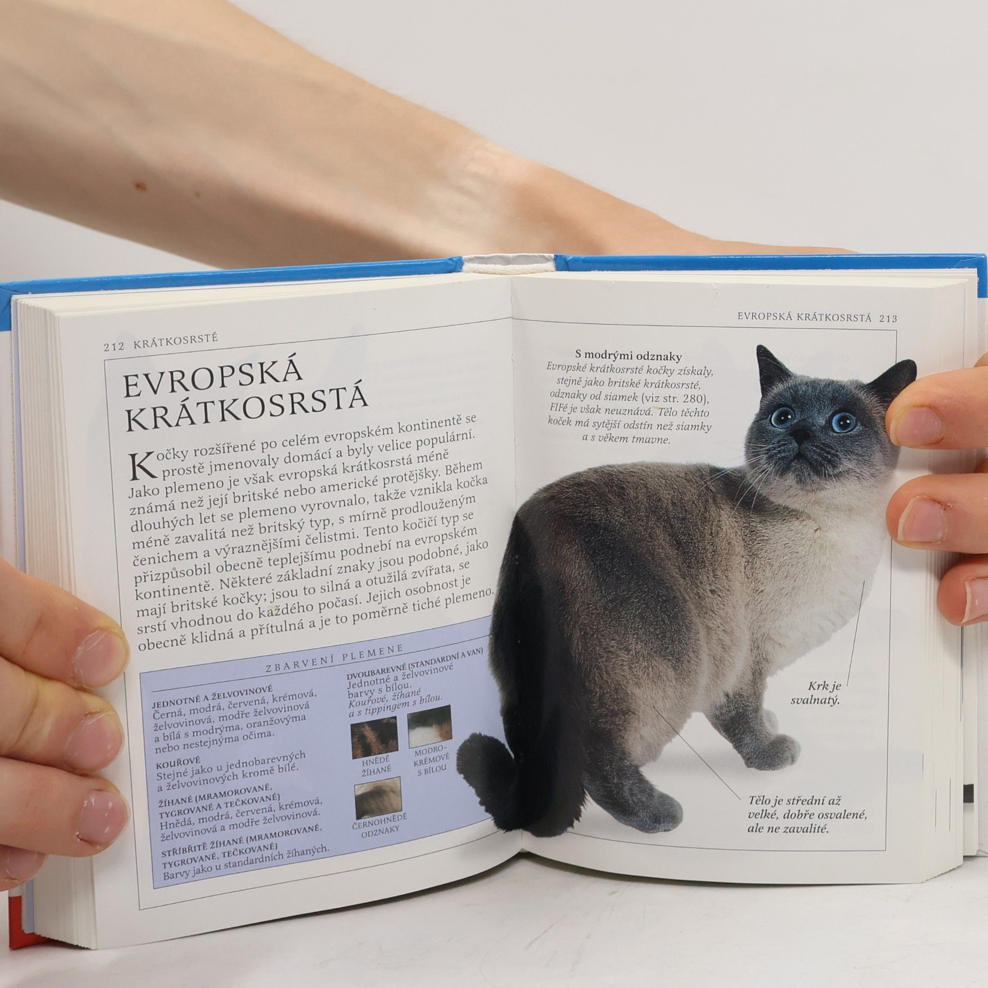 Bruce Fogle Kočky. Atlas do kapsy