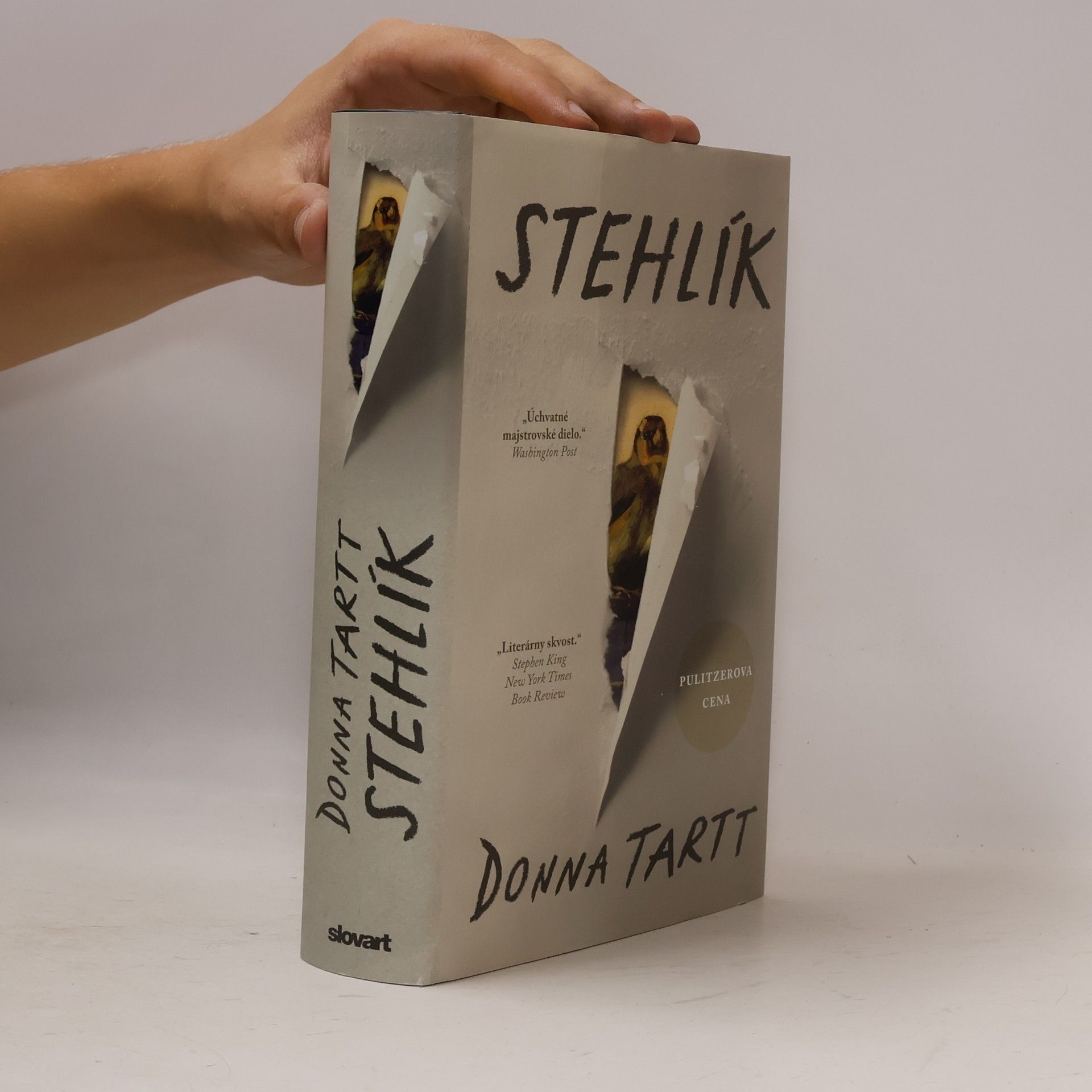 Donna Tartt Stehlík