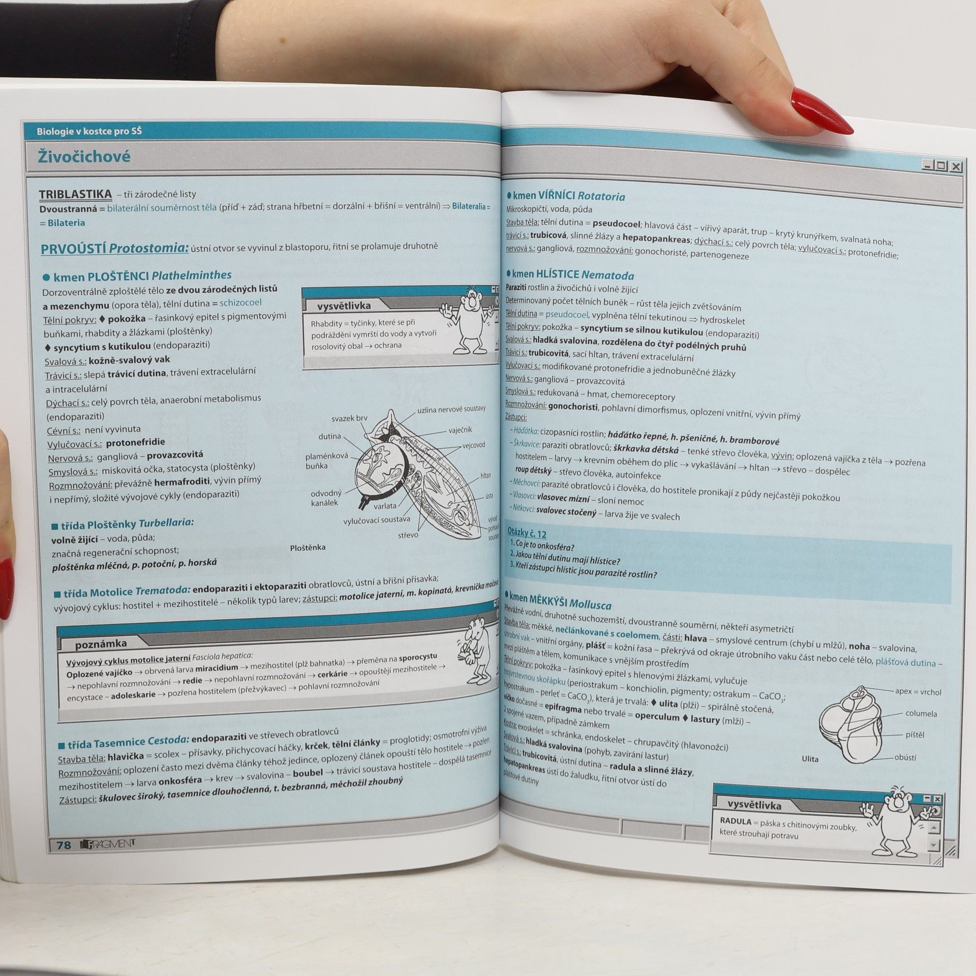 Hana Hančová Biologie v kostce : pro střední školy