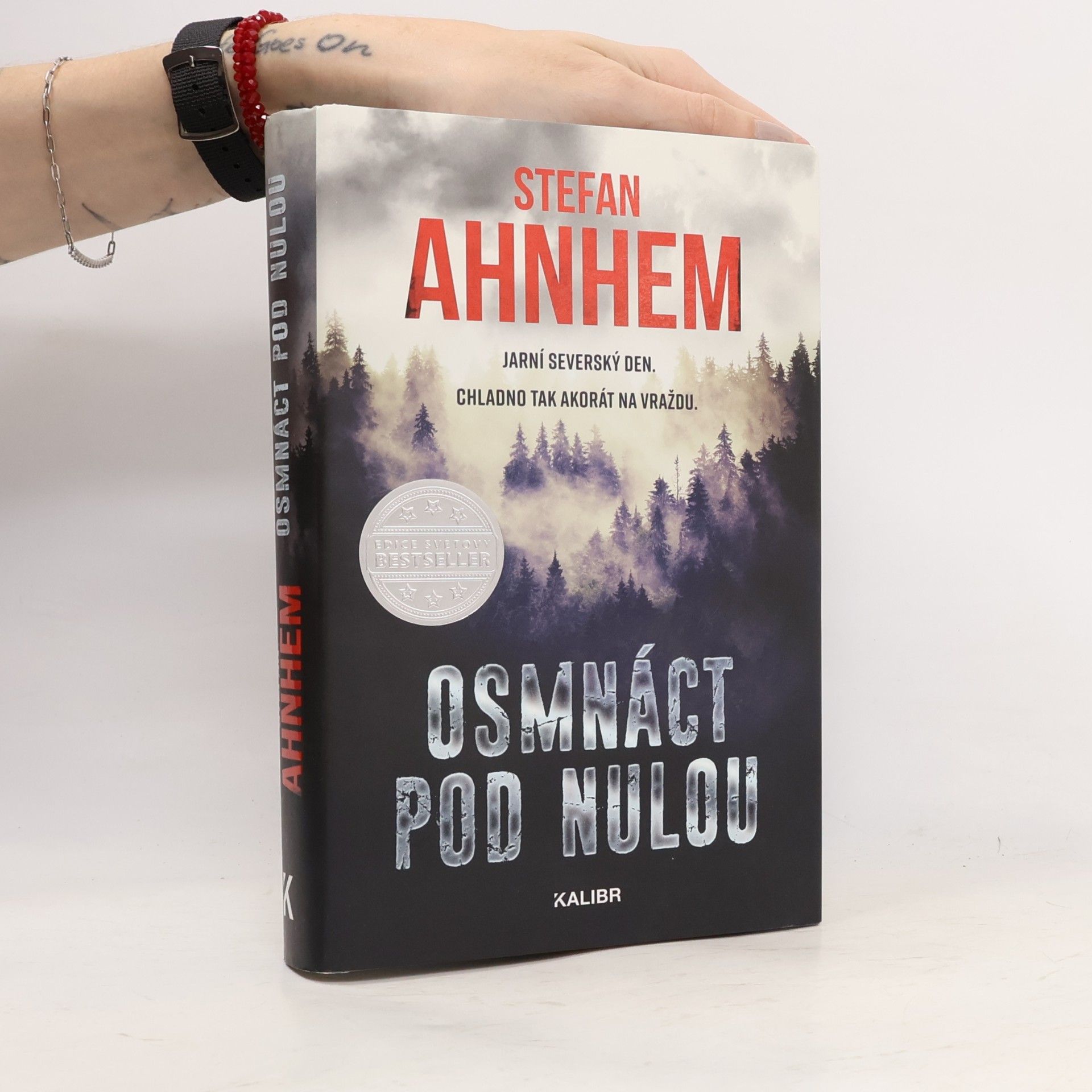 Stefan Ahnhem Osmnáct pod nulou
