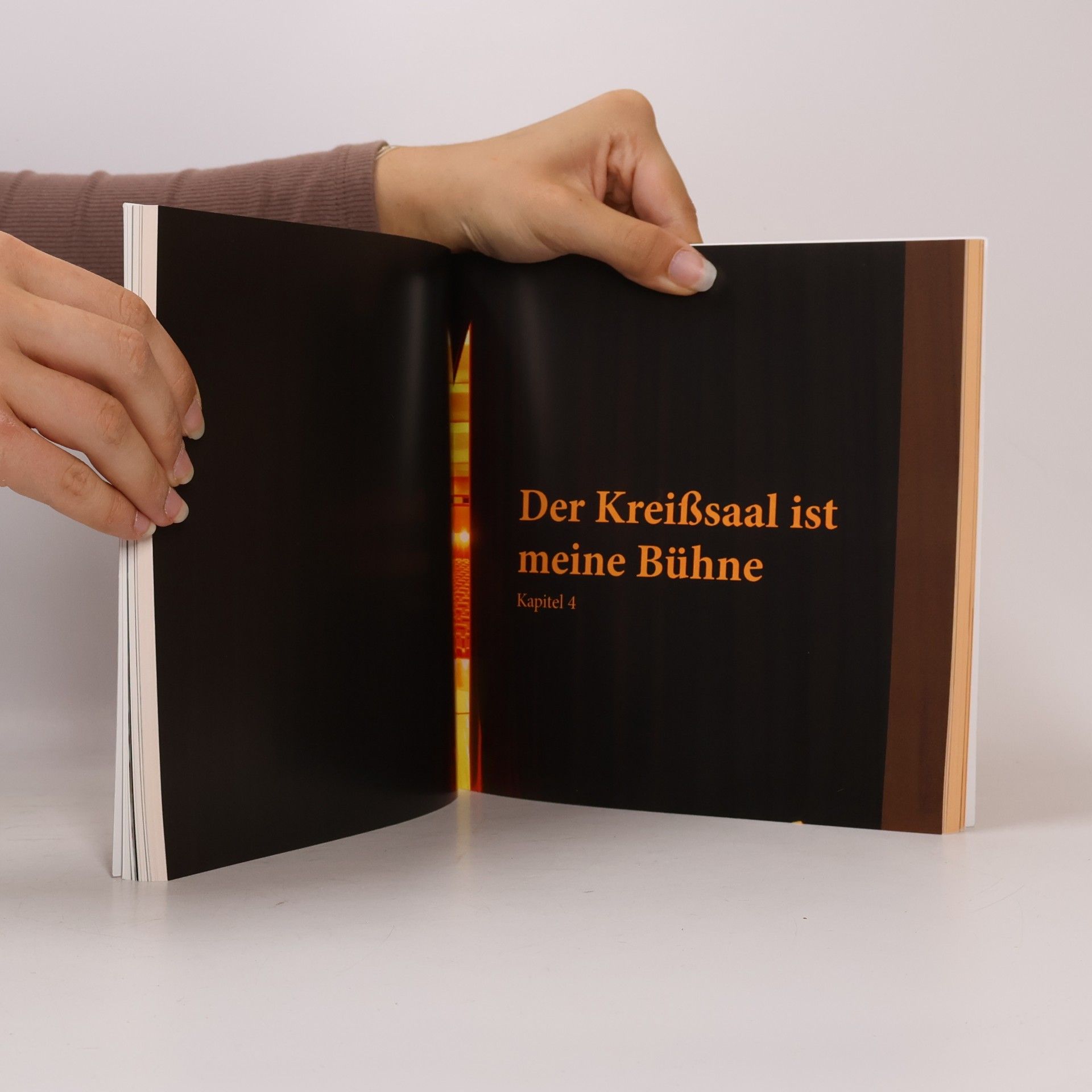 Nelly Niculina Stancescu Botschaften aus der Fruchtblase