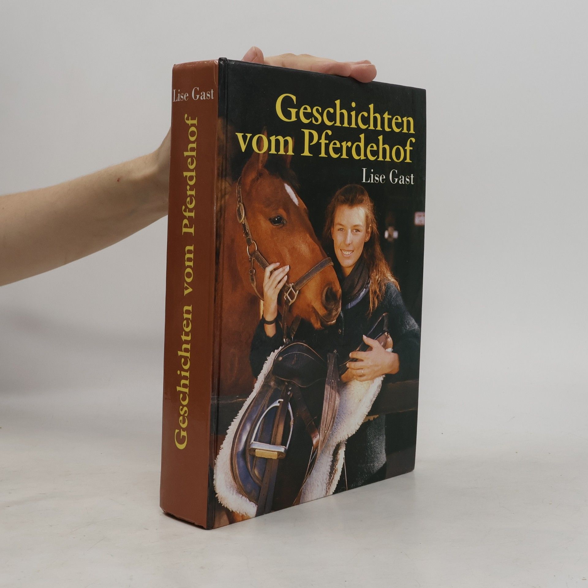 Lise Gast Geschichten vom Pferdehof