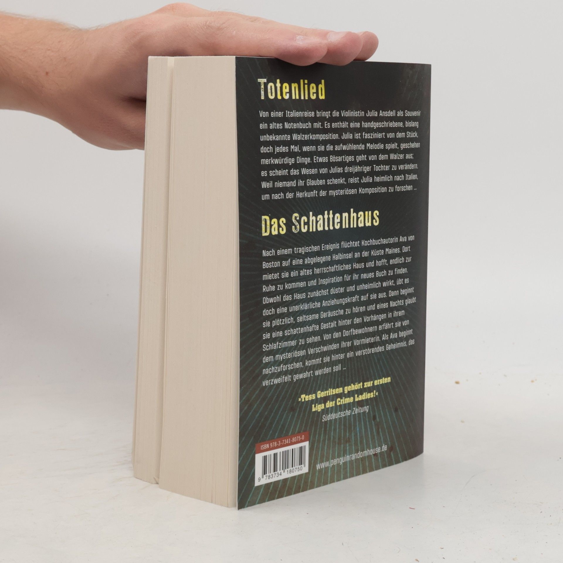 Tess Gerritsen Totenlied Das Schattenhaus