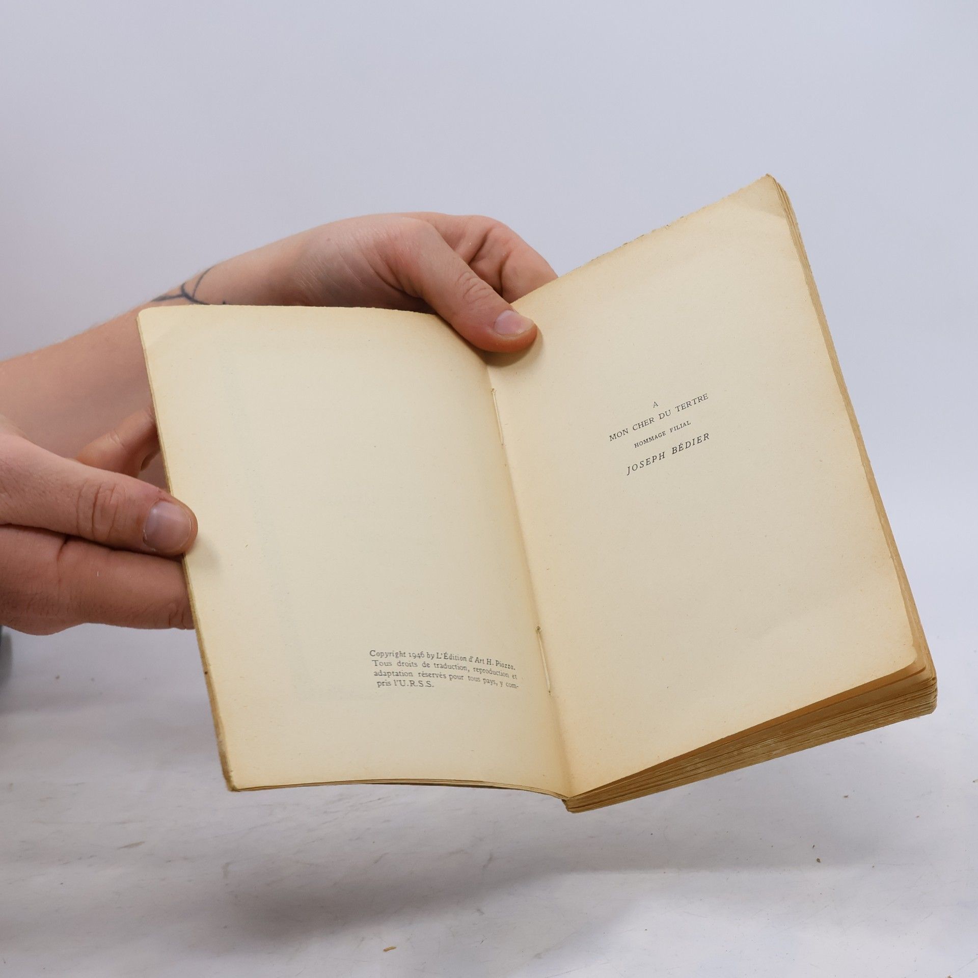 AA.VV. Le roman de Tristan et iseut