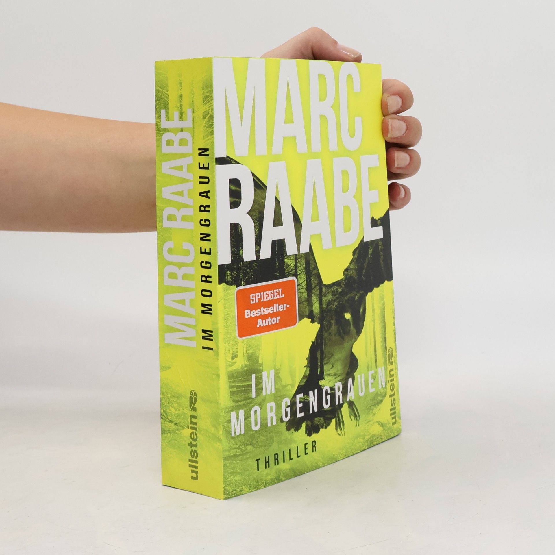 Marc Raabe Art Mayer-Serie - 4: Im Morgengrauen