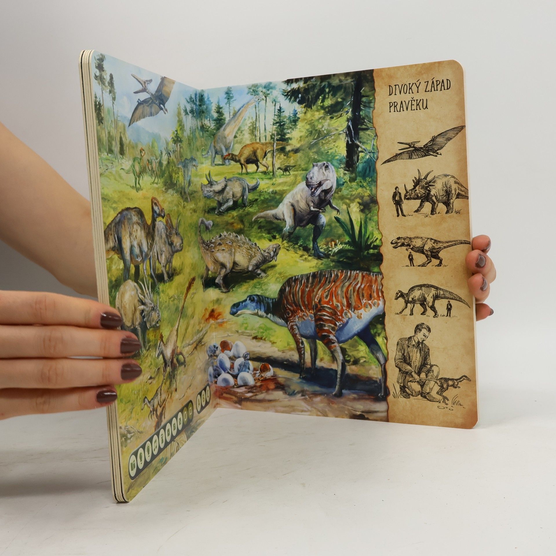 Autorenkollektiv Dinosauři