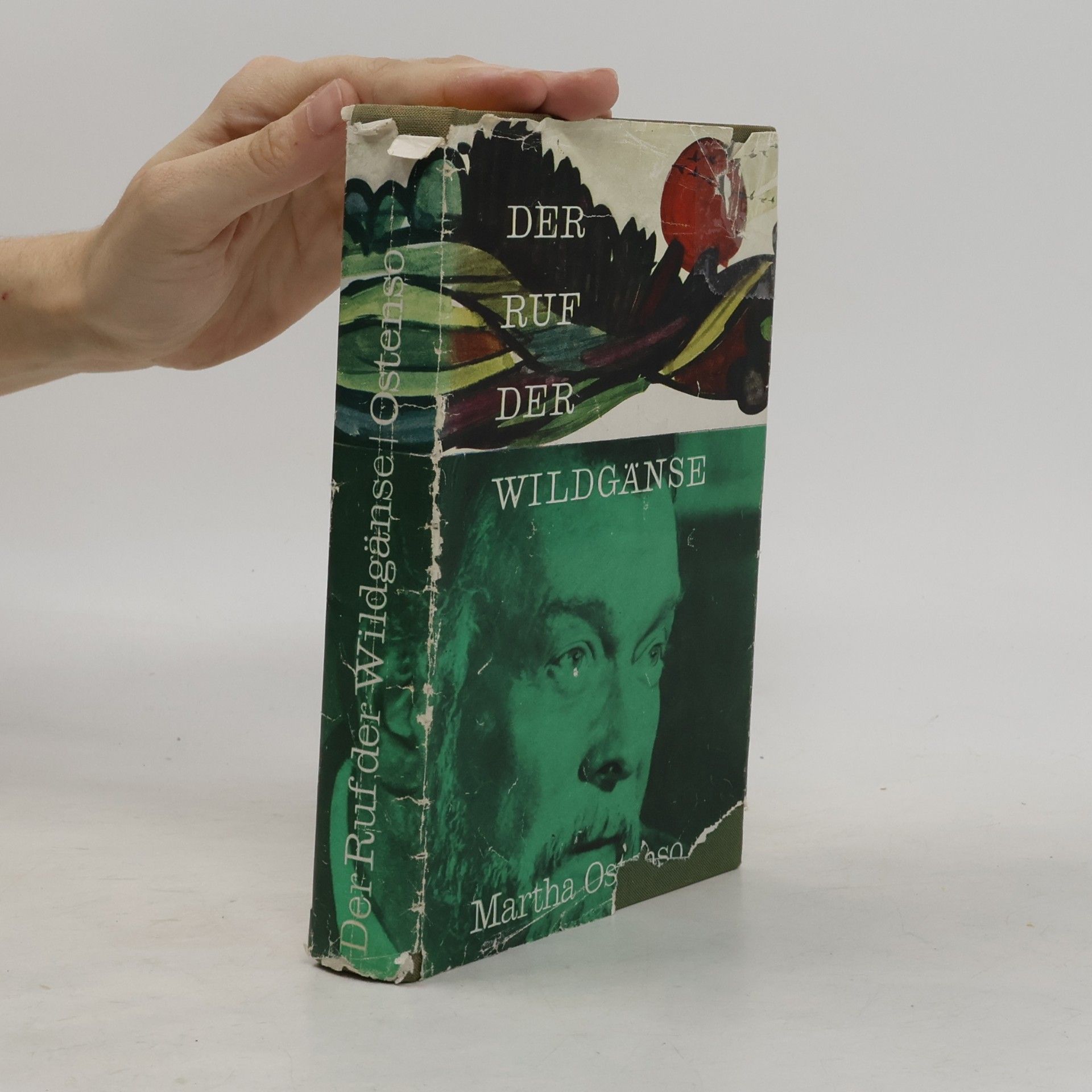 Martha Ostenso Der Ruf der Wildgänse