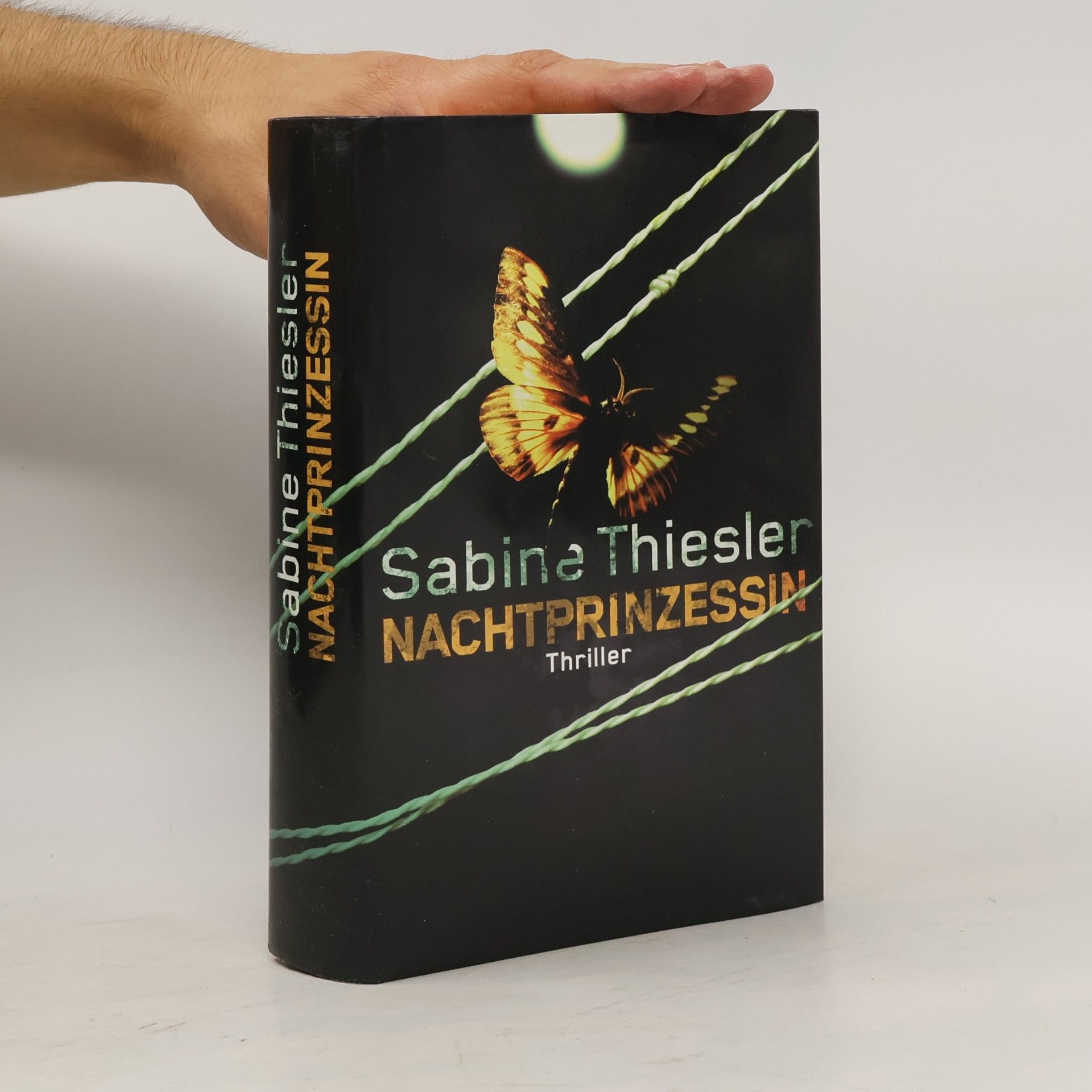 Sabine Thiesler Nachtprinzessin