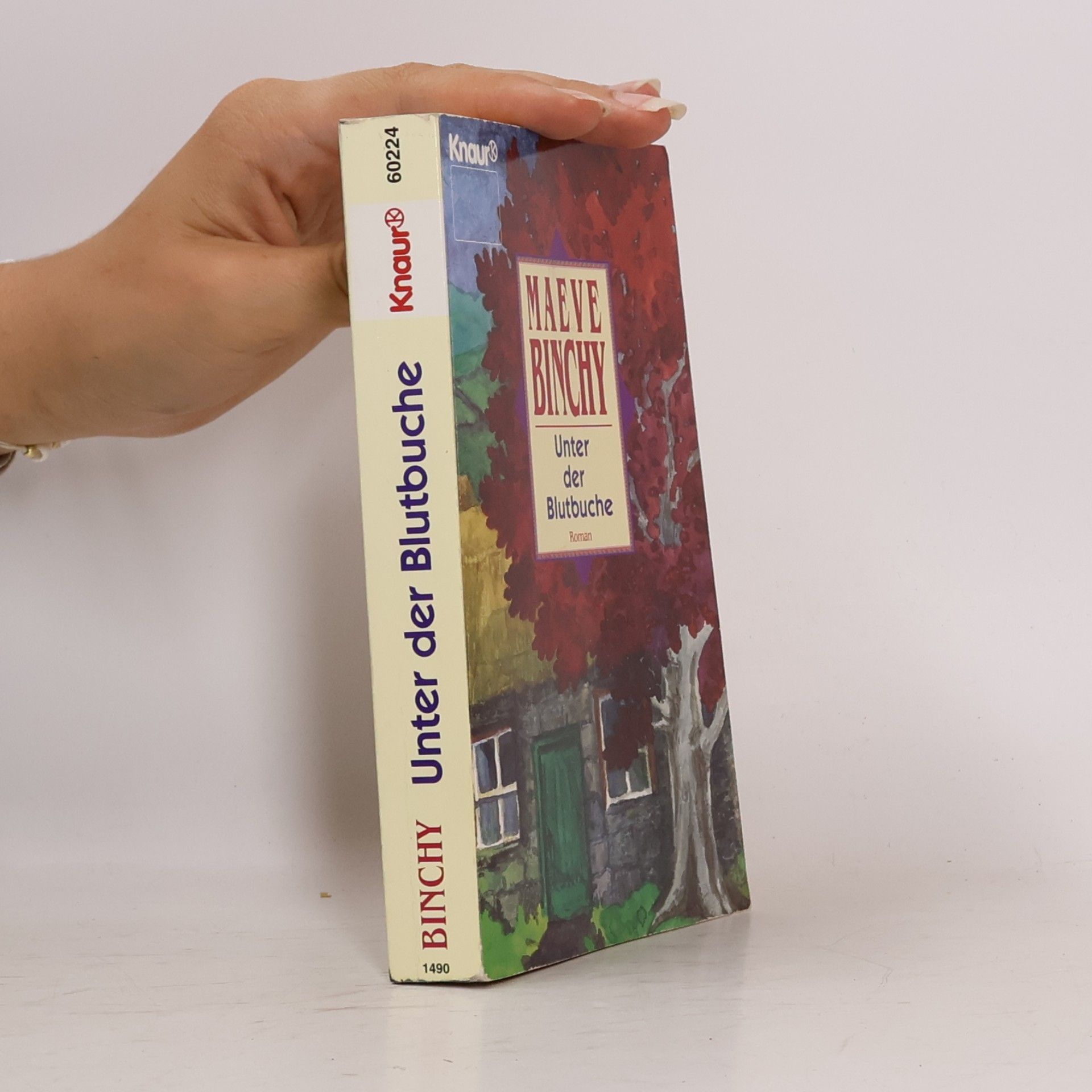 Maeve Binchy Unter der Blutbuche