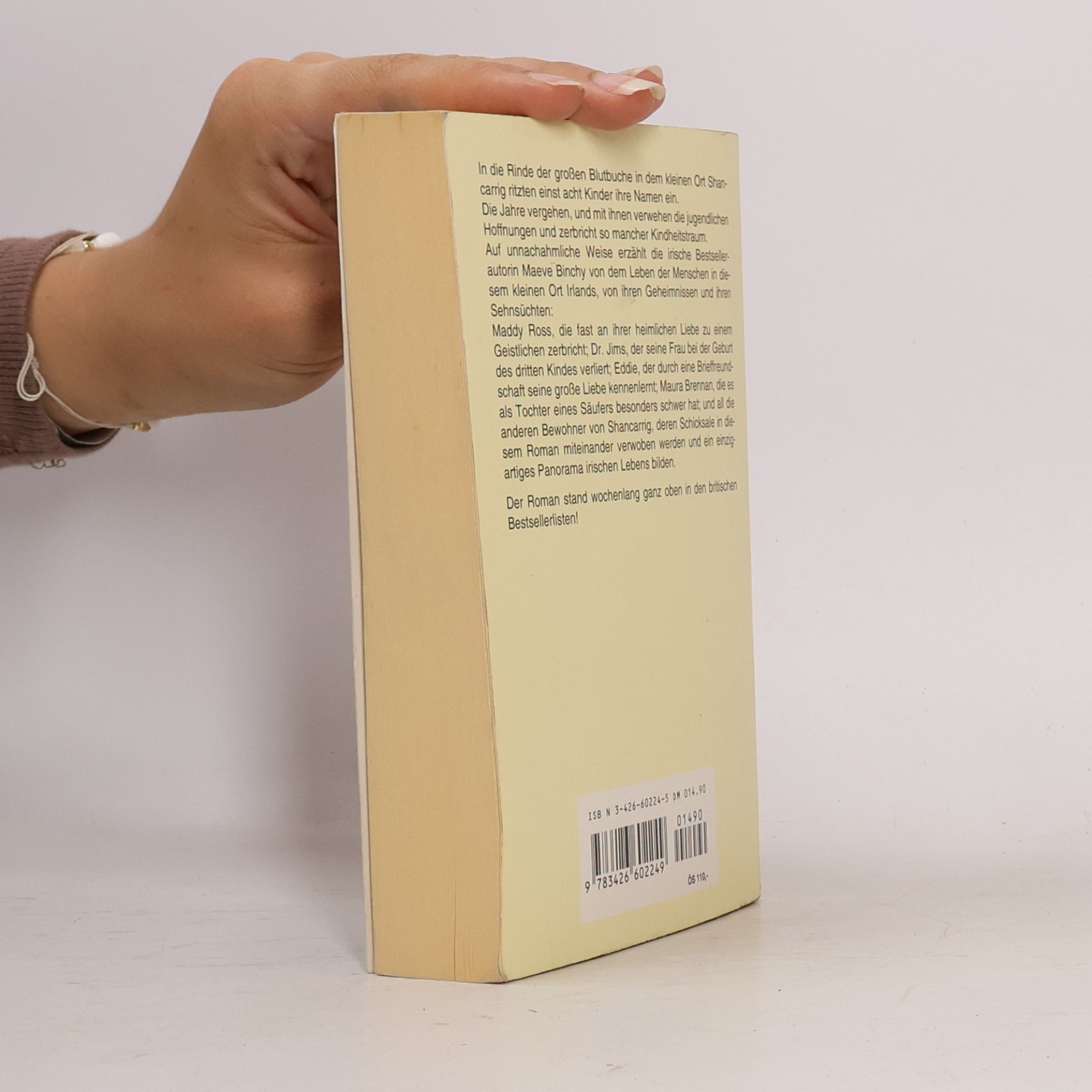 Maeve Binchy Unter der Blutbuche