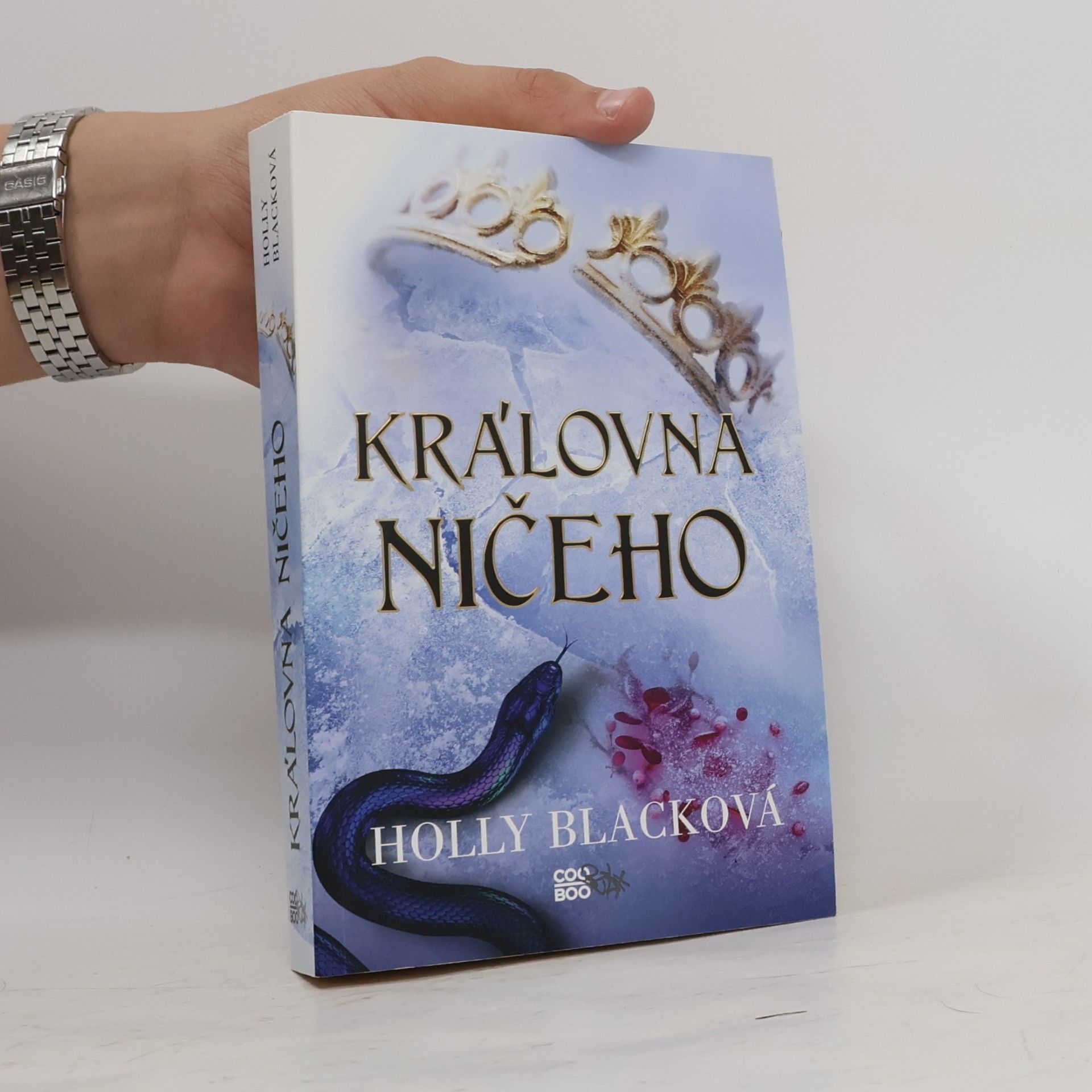Holly Black Královna ničeho
