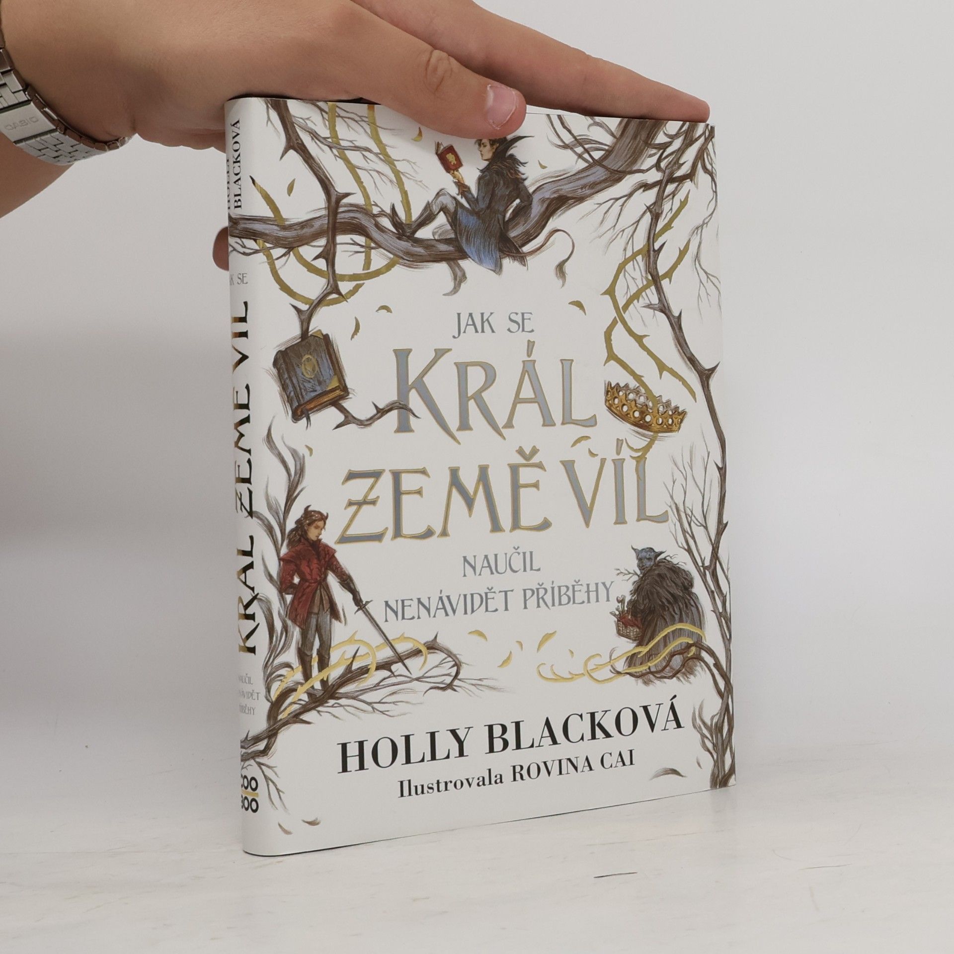 Holly Black Jak se král Země víl naučil nenávidět příběhy