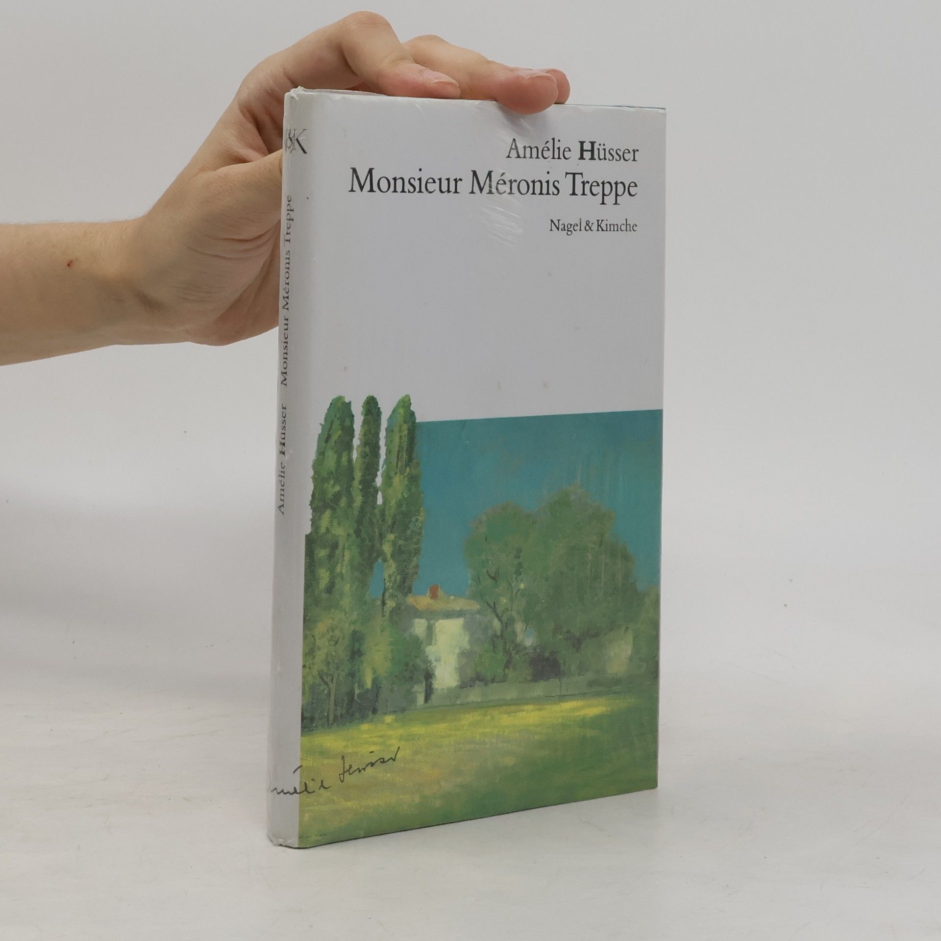 Amélie Hüsser Monsieur Méronis Treppe