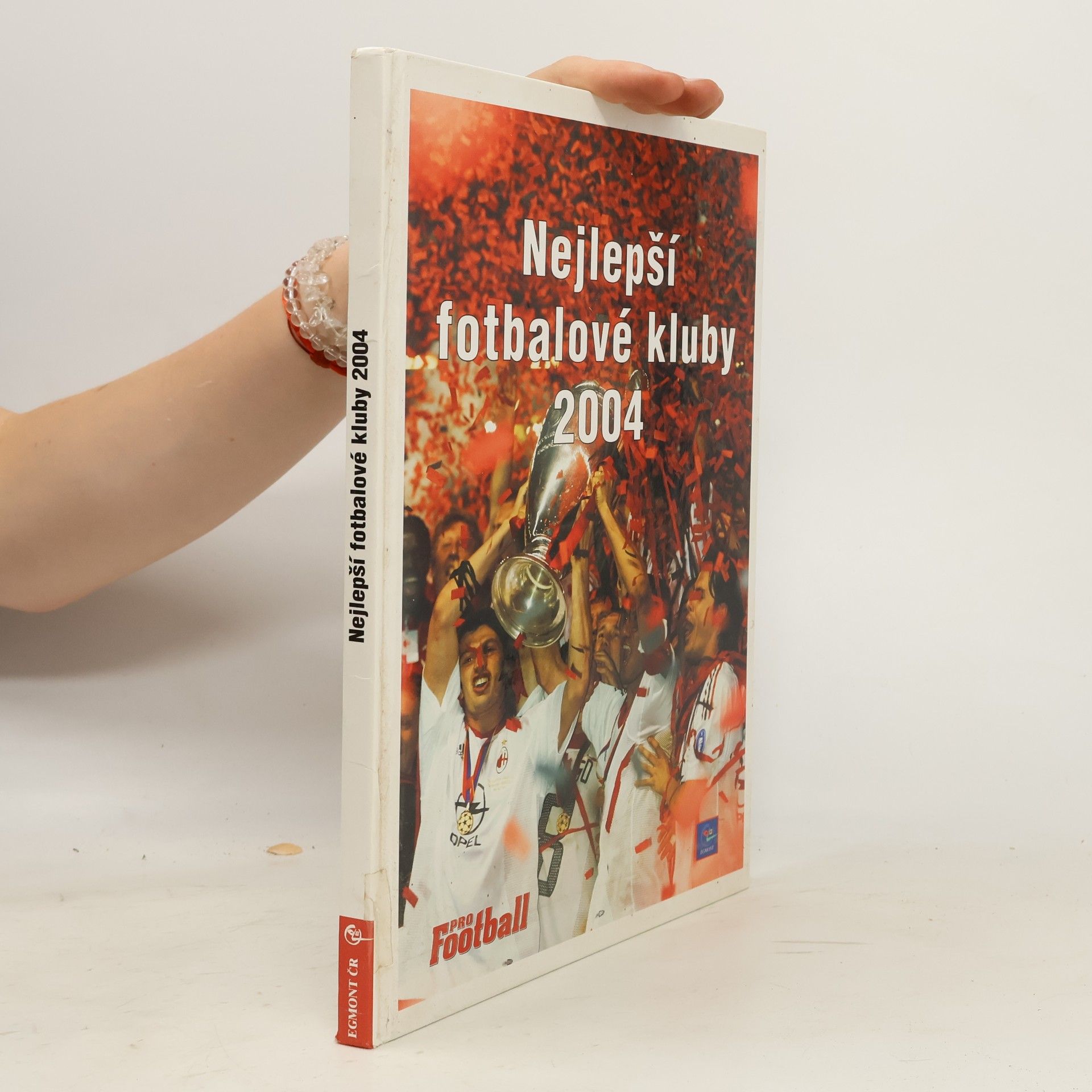 Nejlepší fotbalové kluby 2004