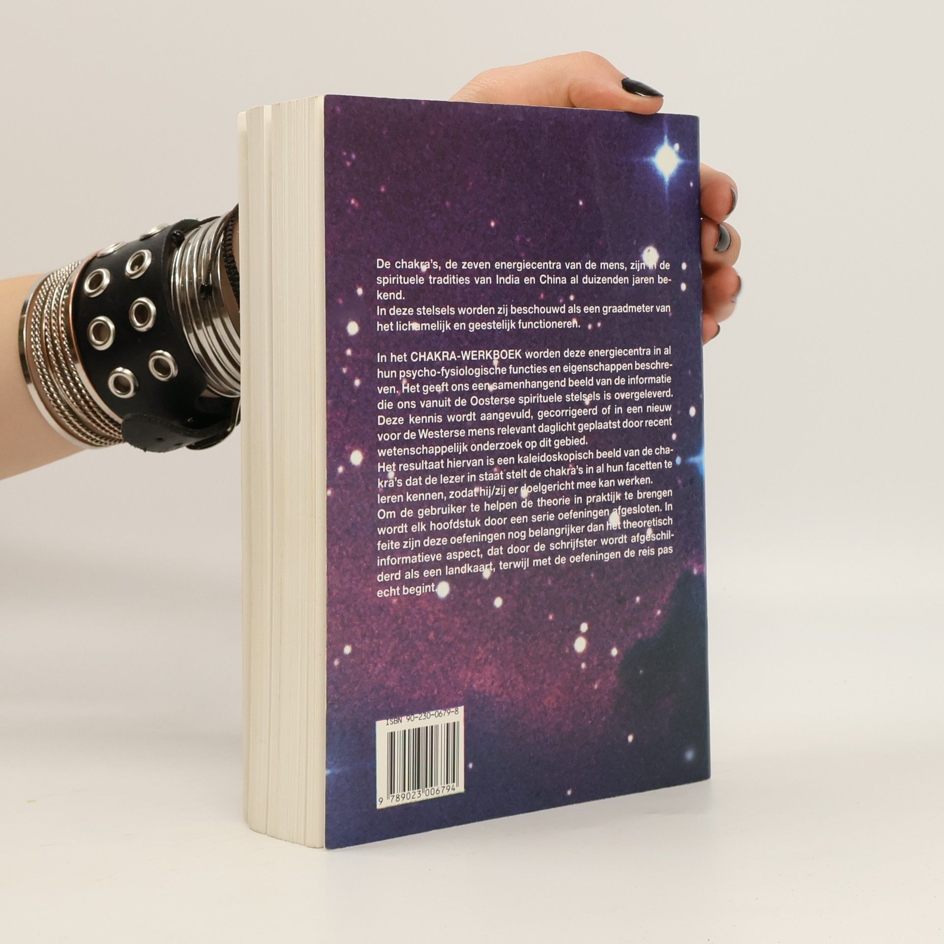 George Hulskramer Chakra werkboek