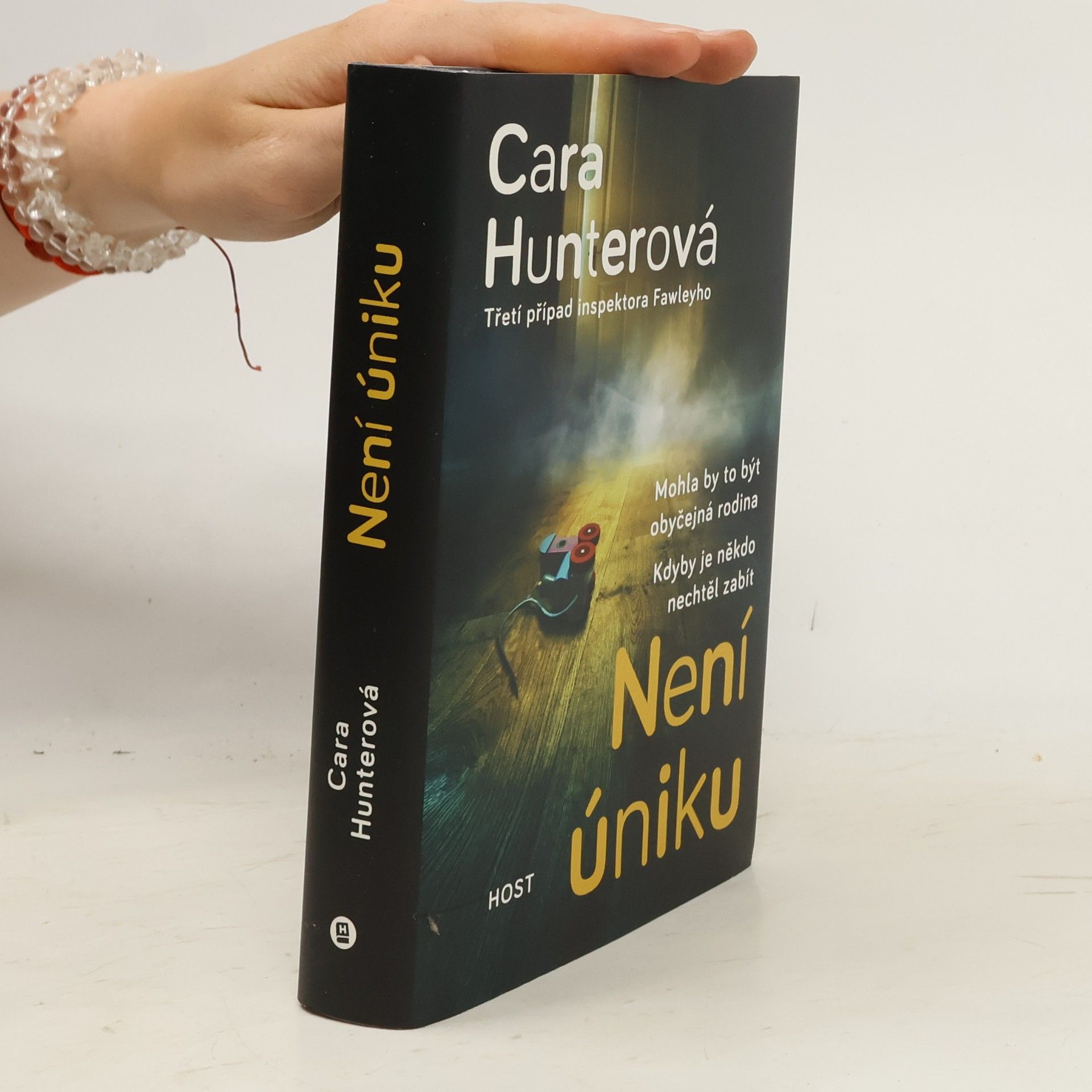 Cara Hunter Není úniku