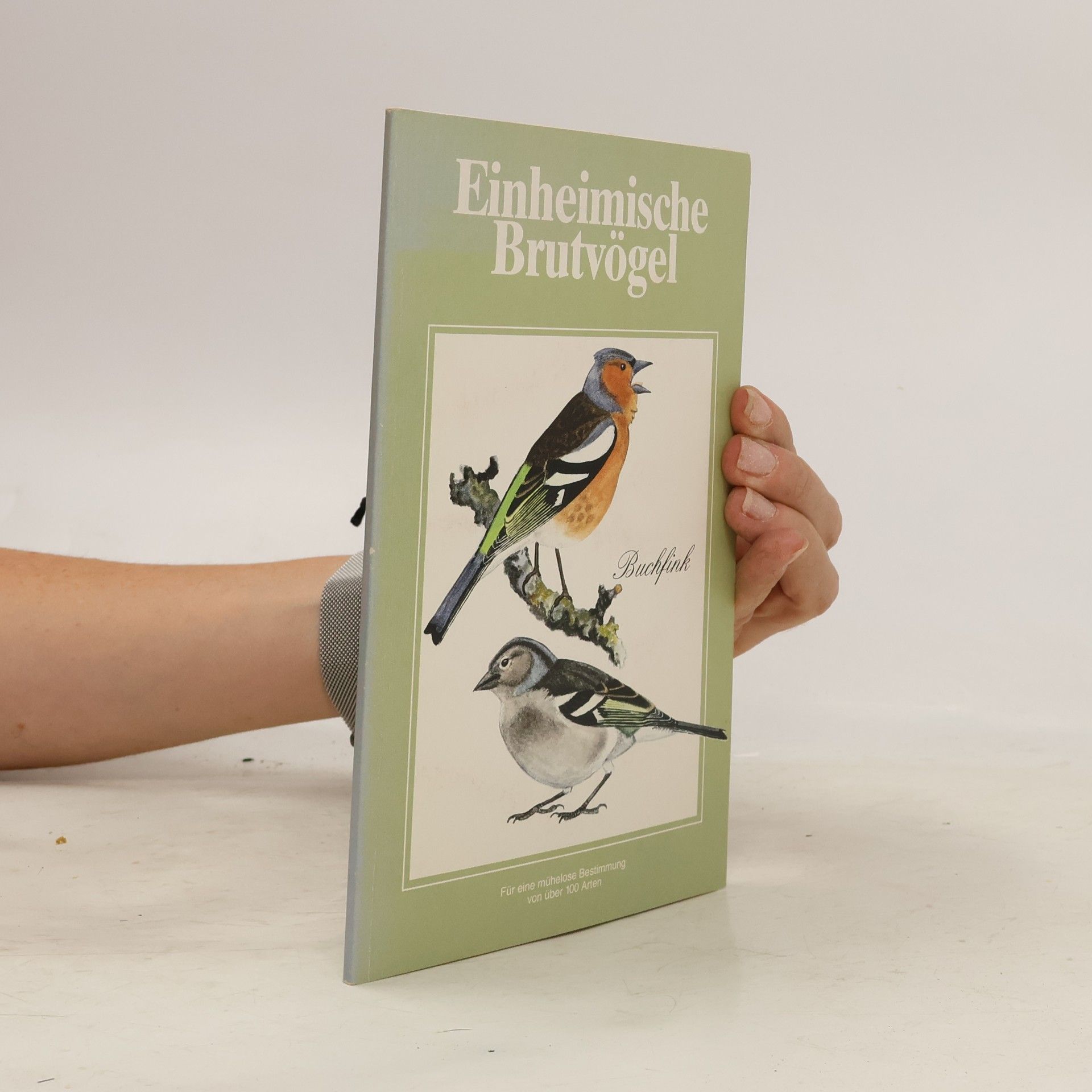 Autorenkollektiv Einheimische Brutvögel