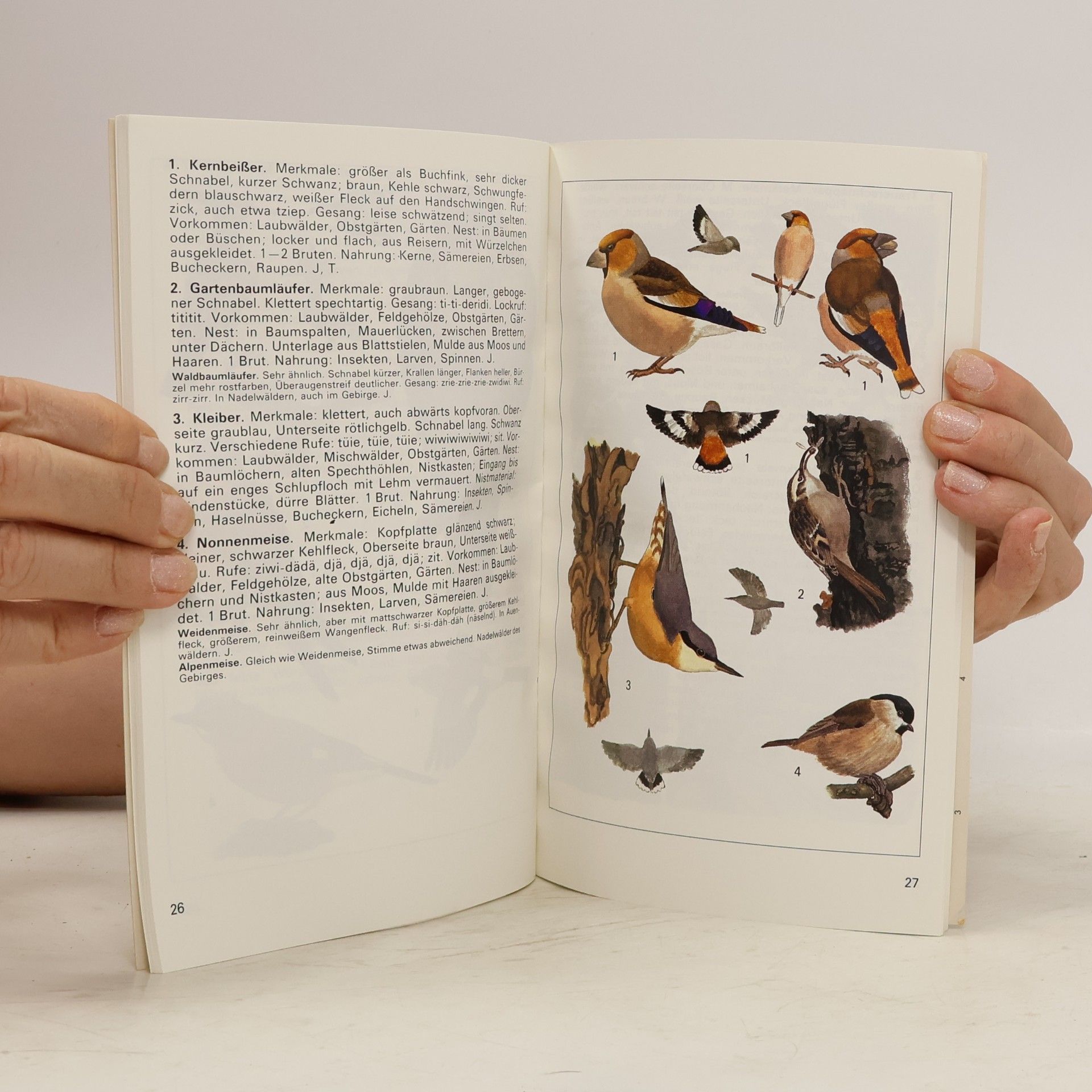 Various authors Einheimische Brutvögel