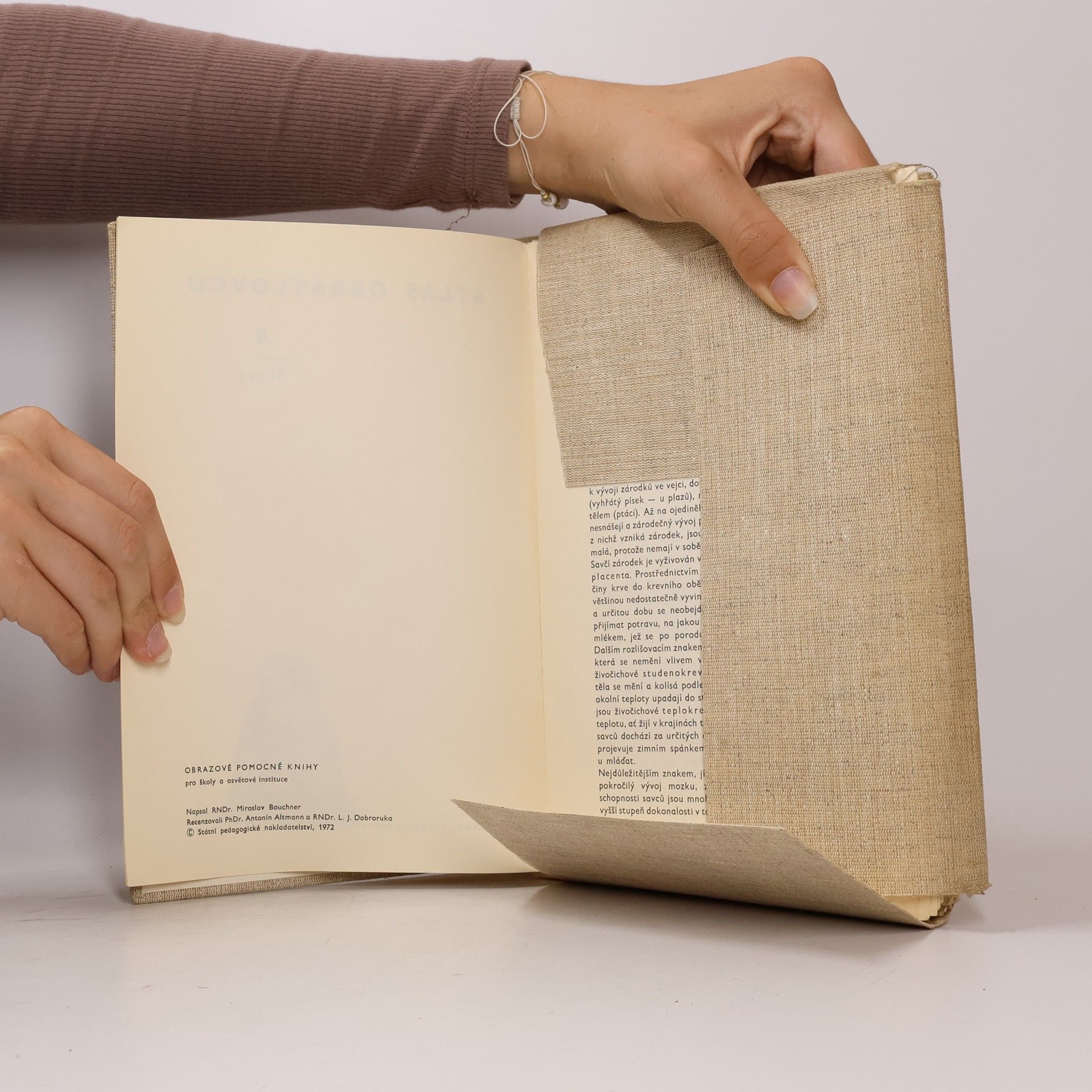 Antonín Altman Savci. Atlas obratlovců 4