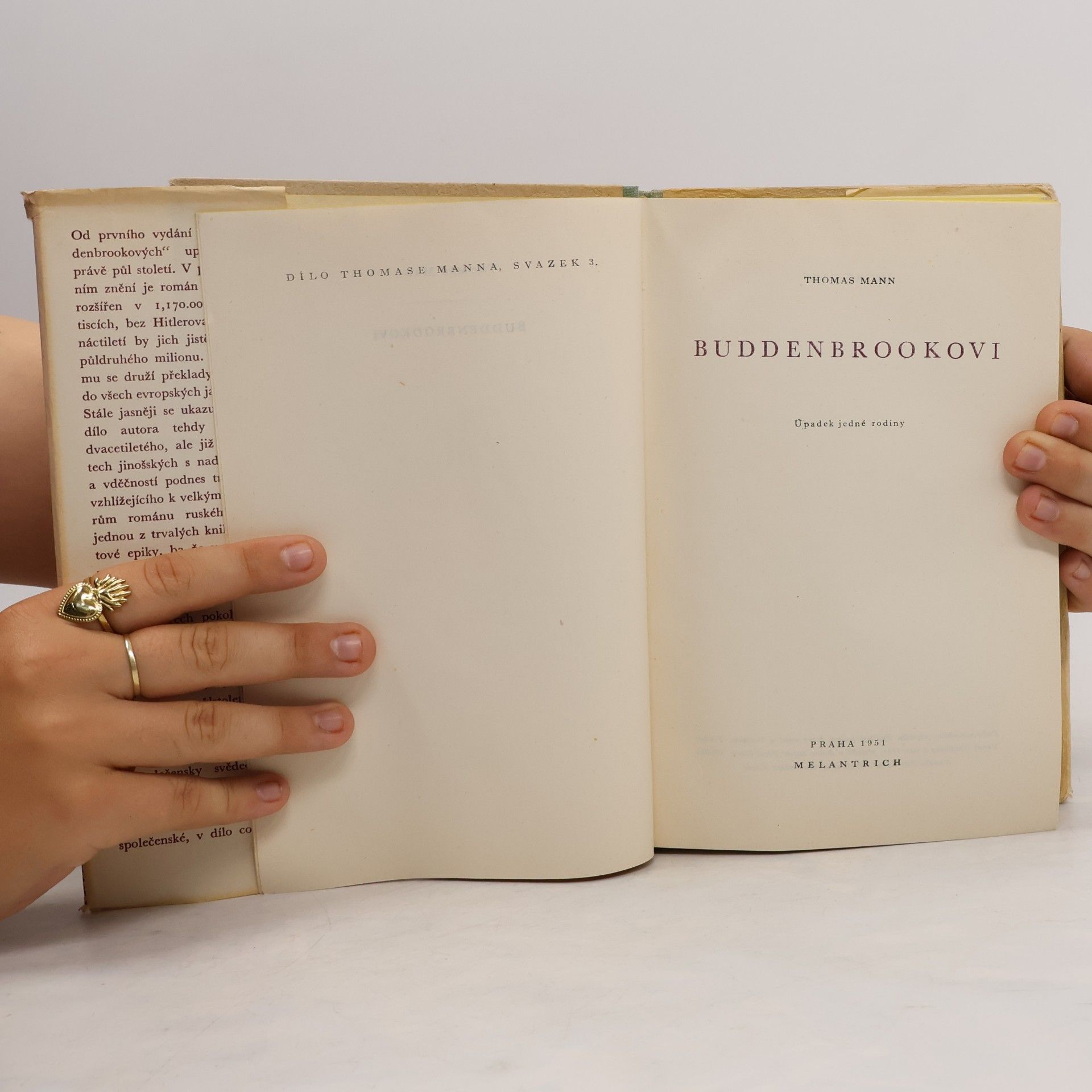 Thomas Mann Buddenbrookovi