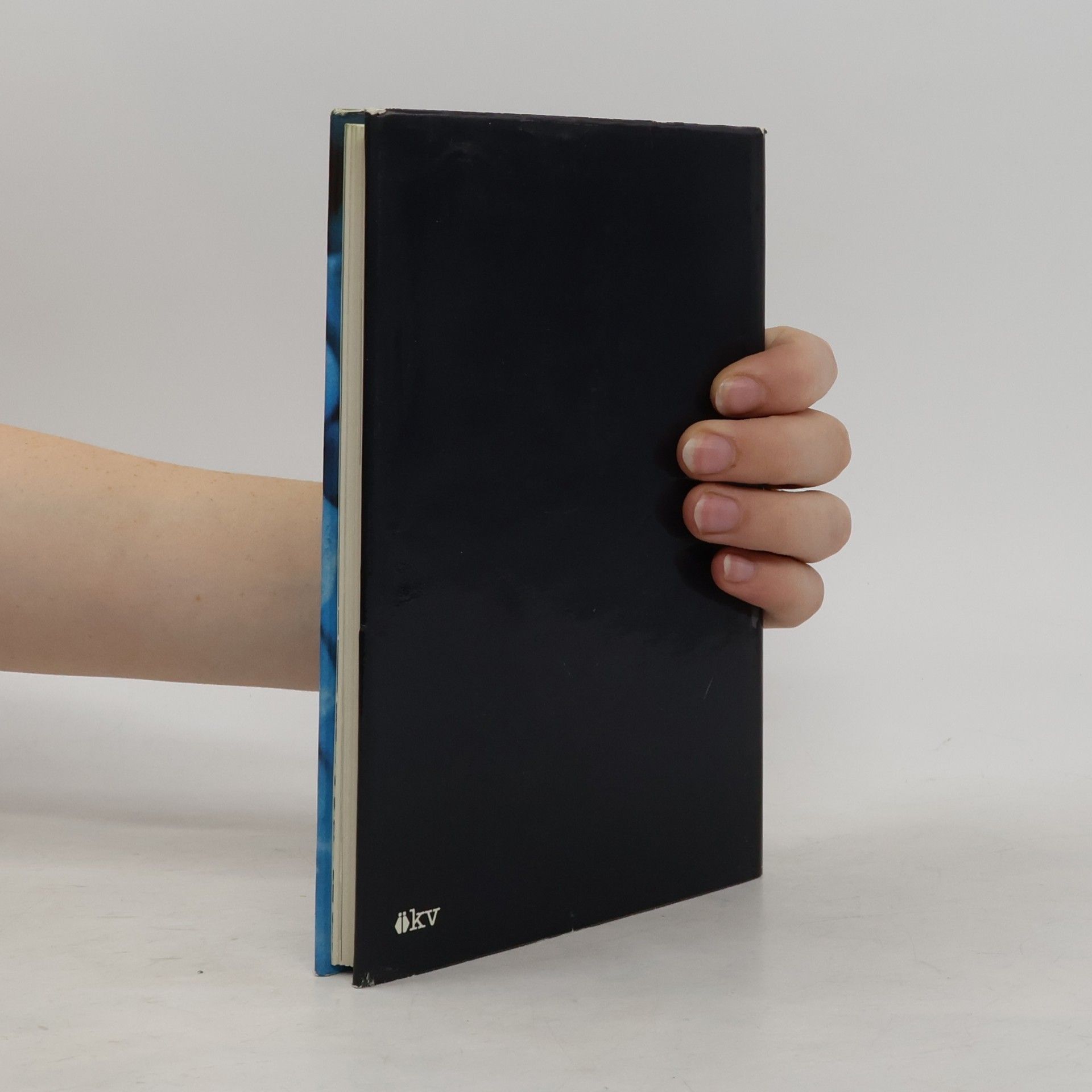 Wolfgang Heiss Impulse für ein neues Pfingsten