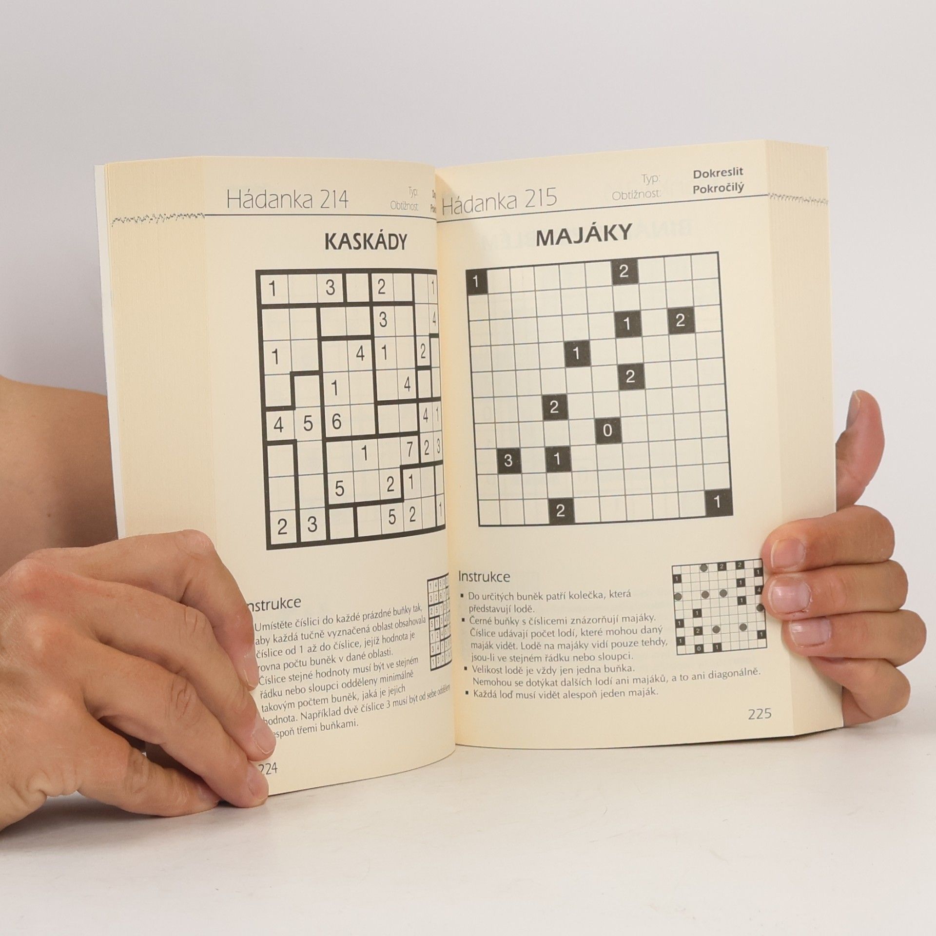 Gareth Moore 441 hádanek, rébusů a logických her
