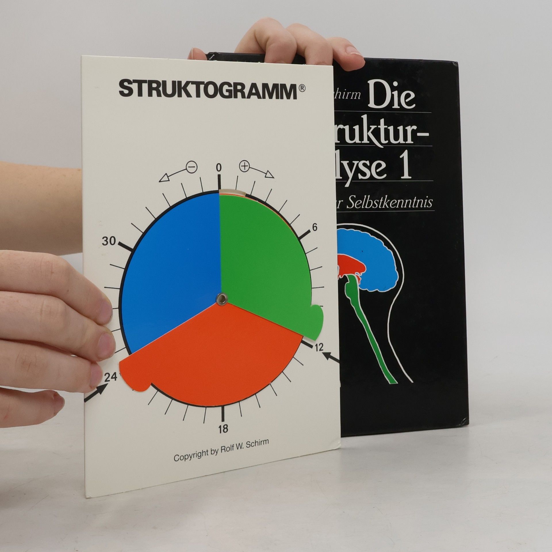 Rolf W. Schirm Die Biostruktur-Analyse 1