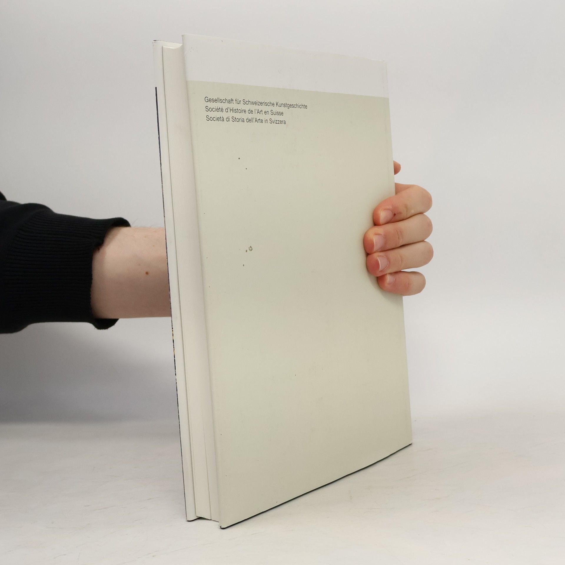 Regine Abegg Die Kunstdenkmäler des Kantons Zürich