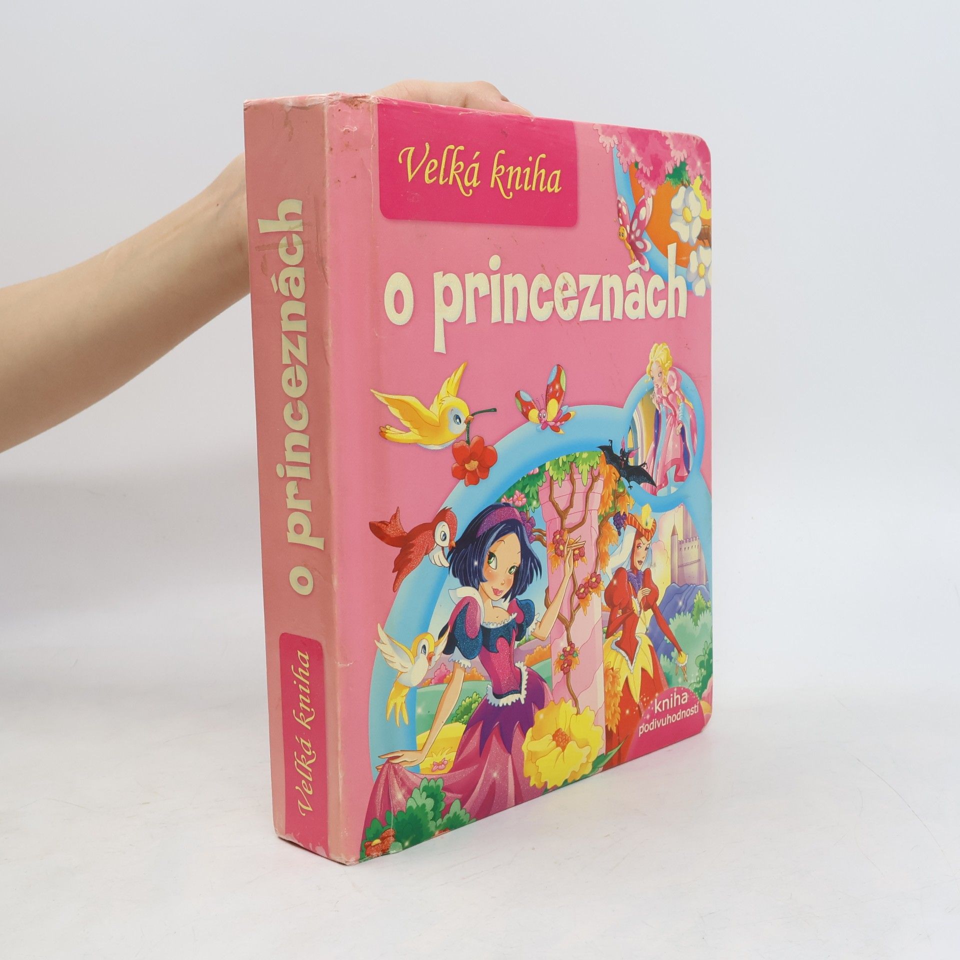 Autorenkollektiv Velká kniha o princeznách