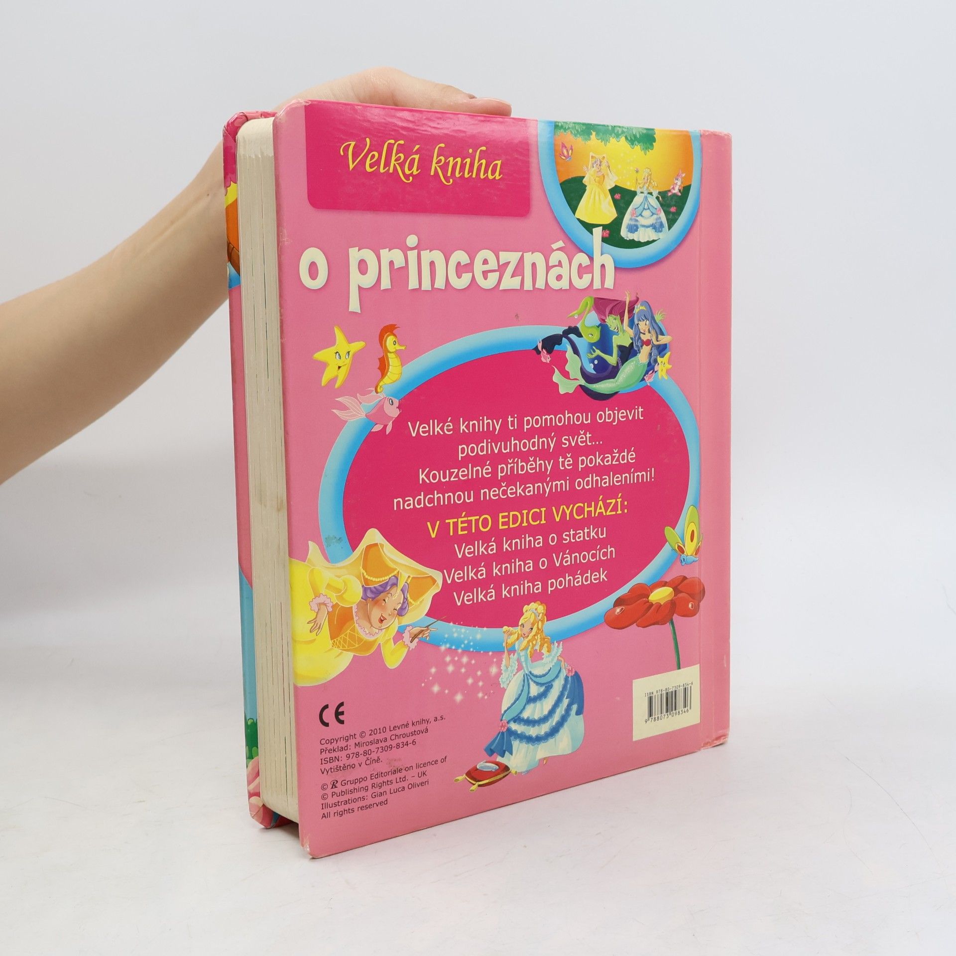Auteurscollectief Velká kniha o princeznách