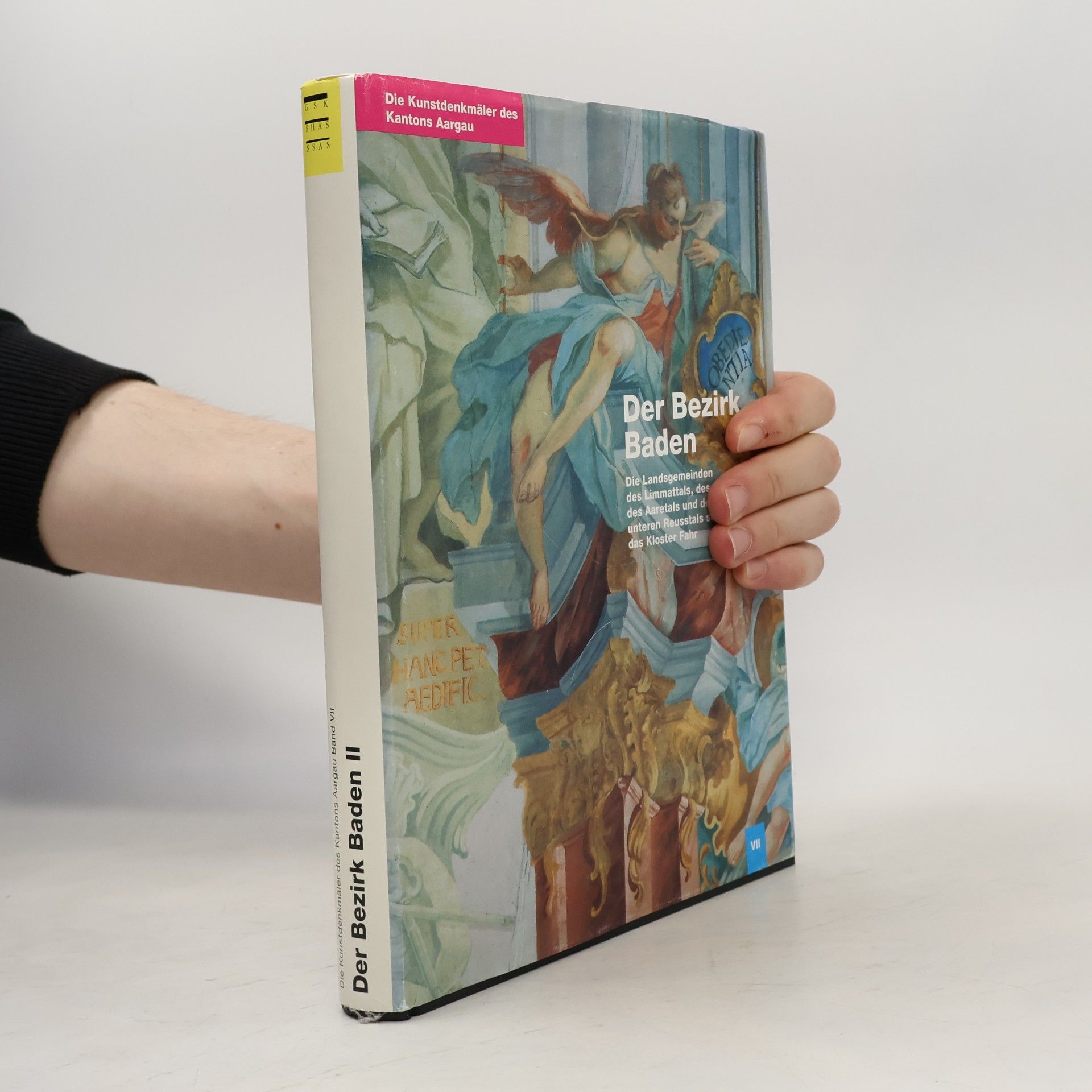 Peter Hoegger Die Kunstdenkmäler des Kantons Aargau