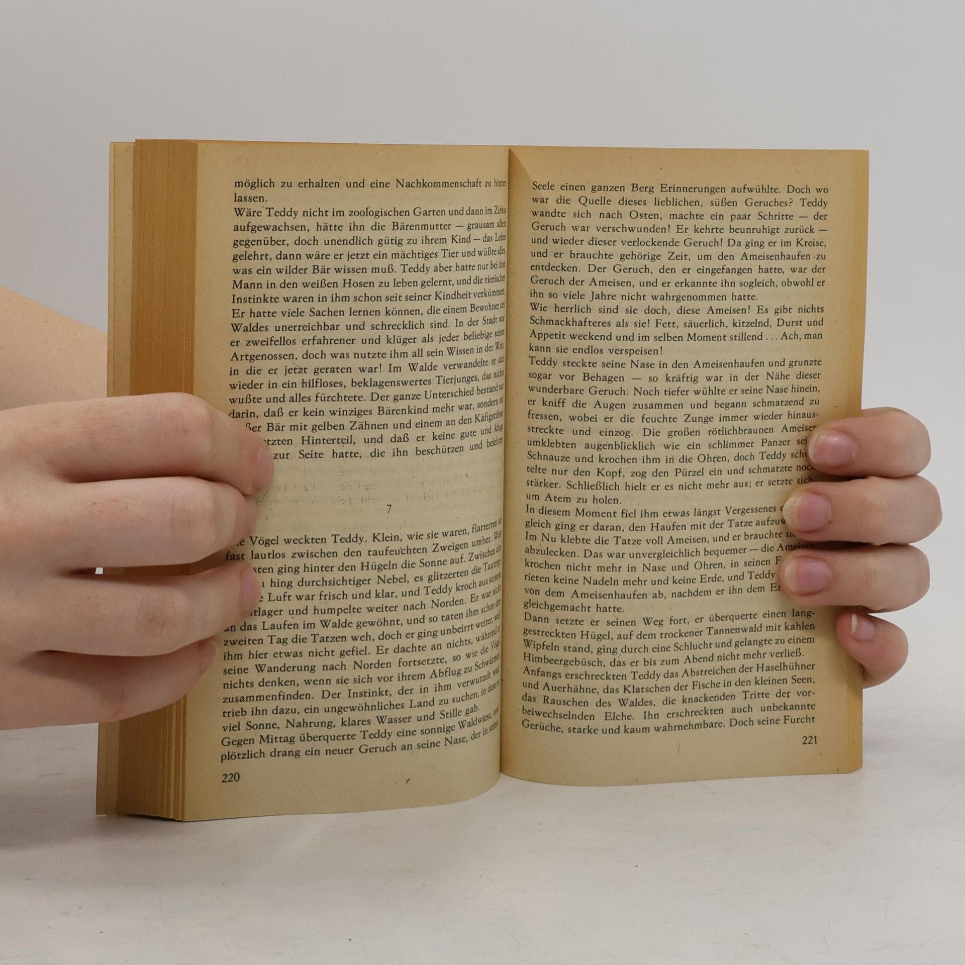 Autorenkollektiv Das weiße Pferd Scheptalo