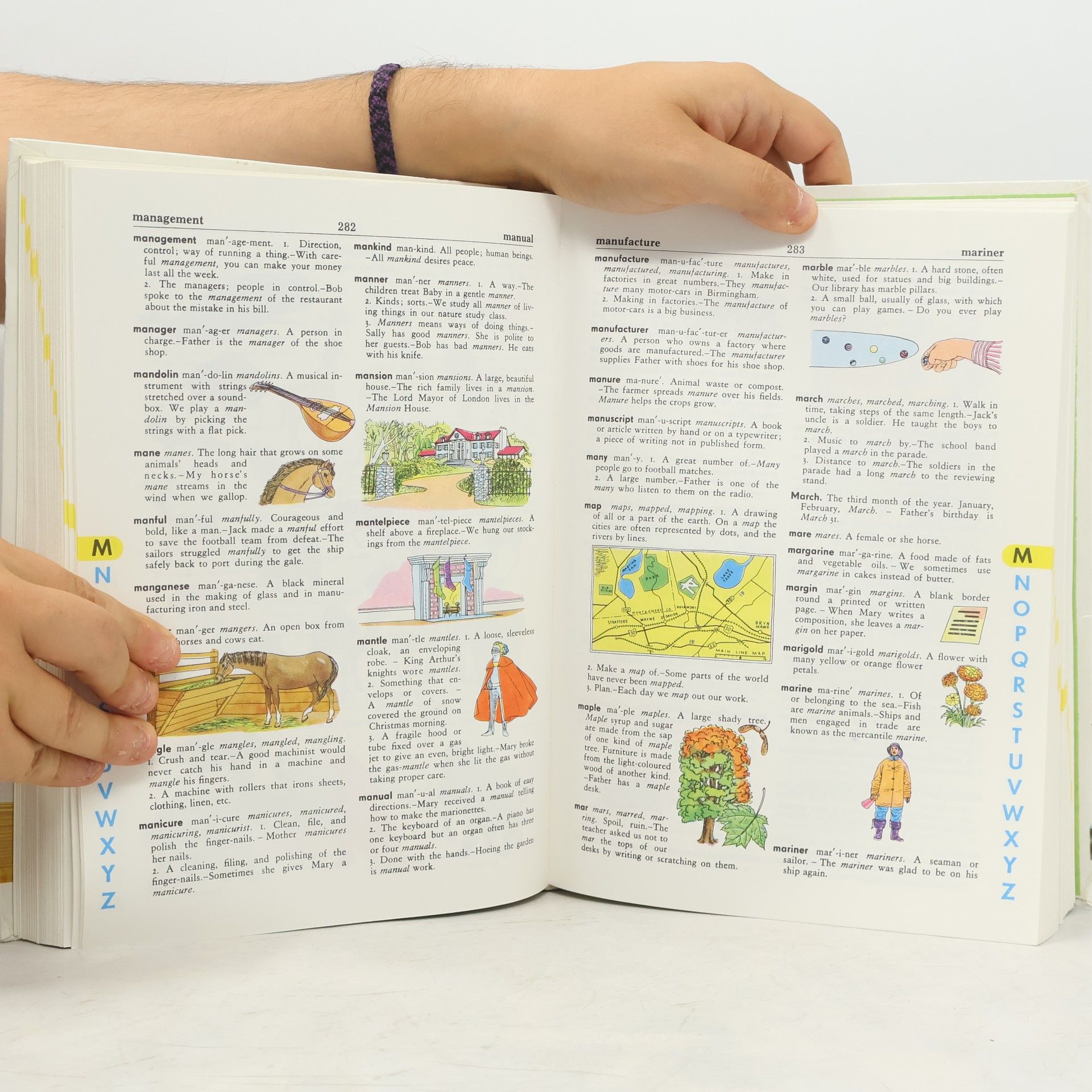 Stuart A. Courtis The Giant All-Colour Dictionary