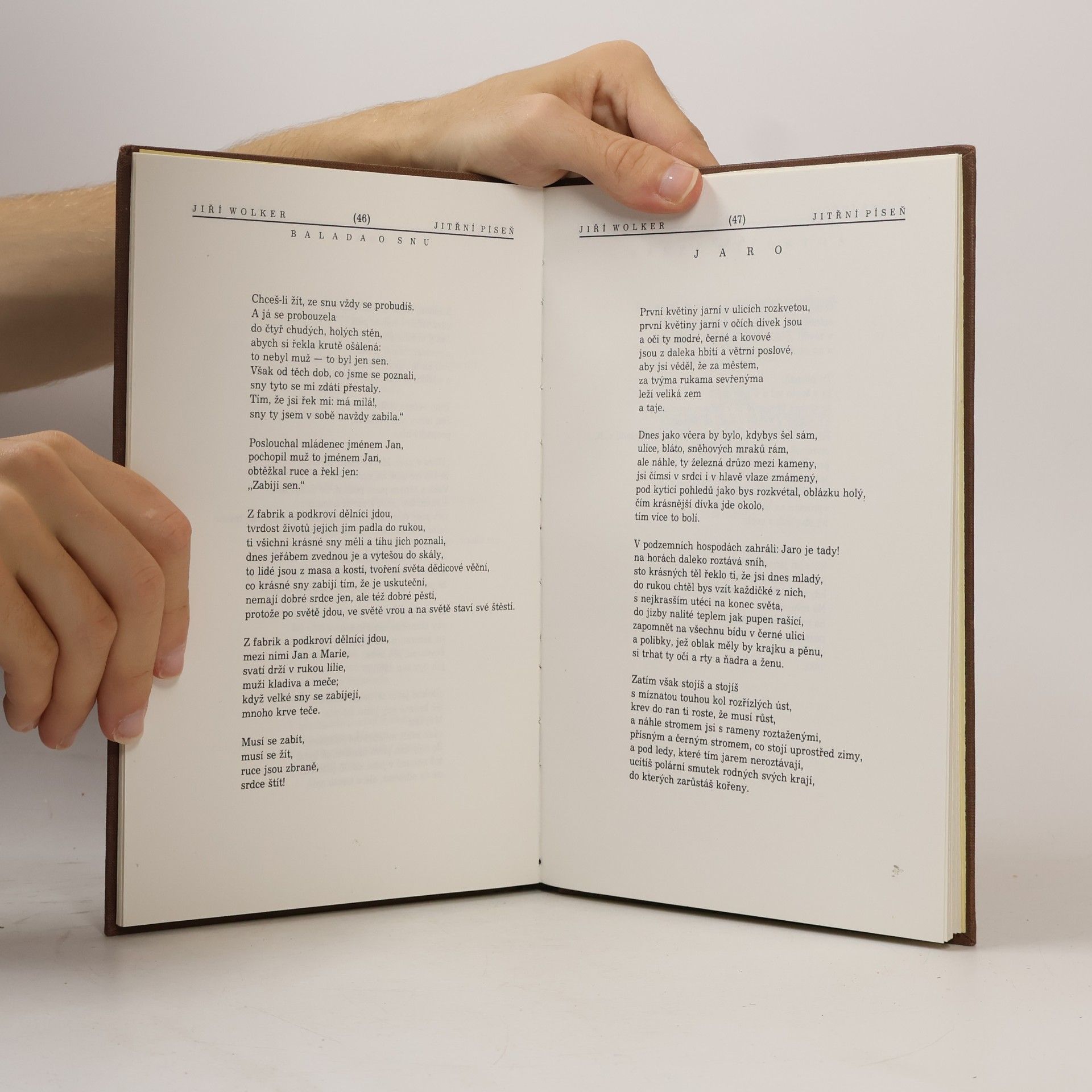 kolektiv Květy poezie